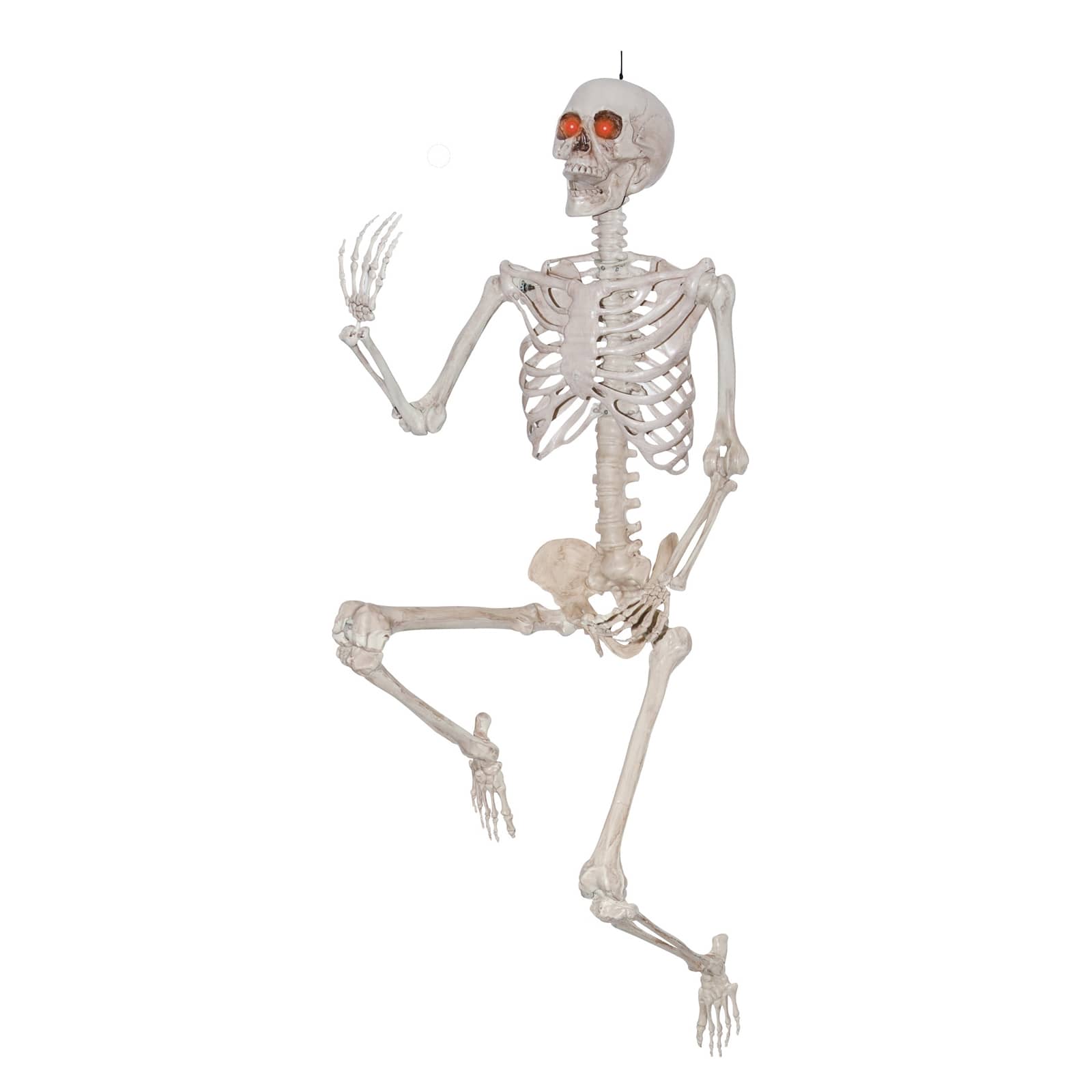 Posable Life-Size Halloween Skeleton, 5'