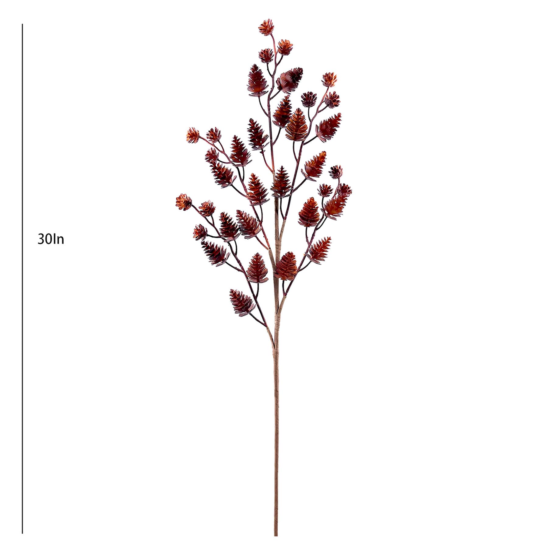 Brown Pinecone Stem, 30"
