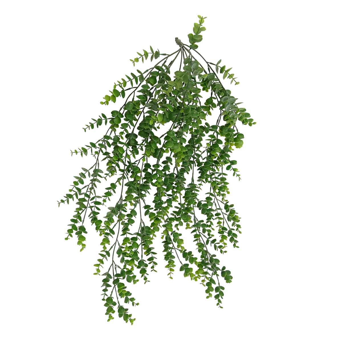 Eucalyptus Hanging Bush, 31"