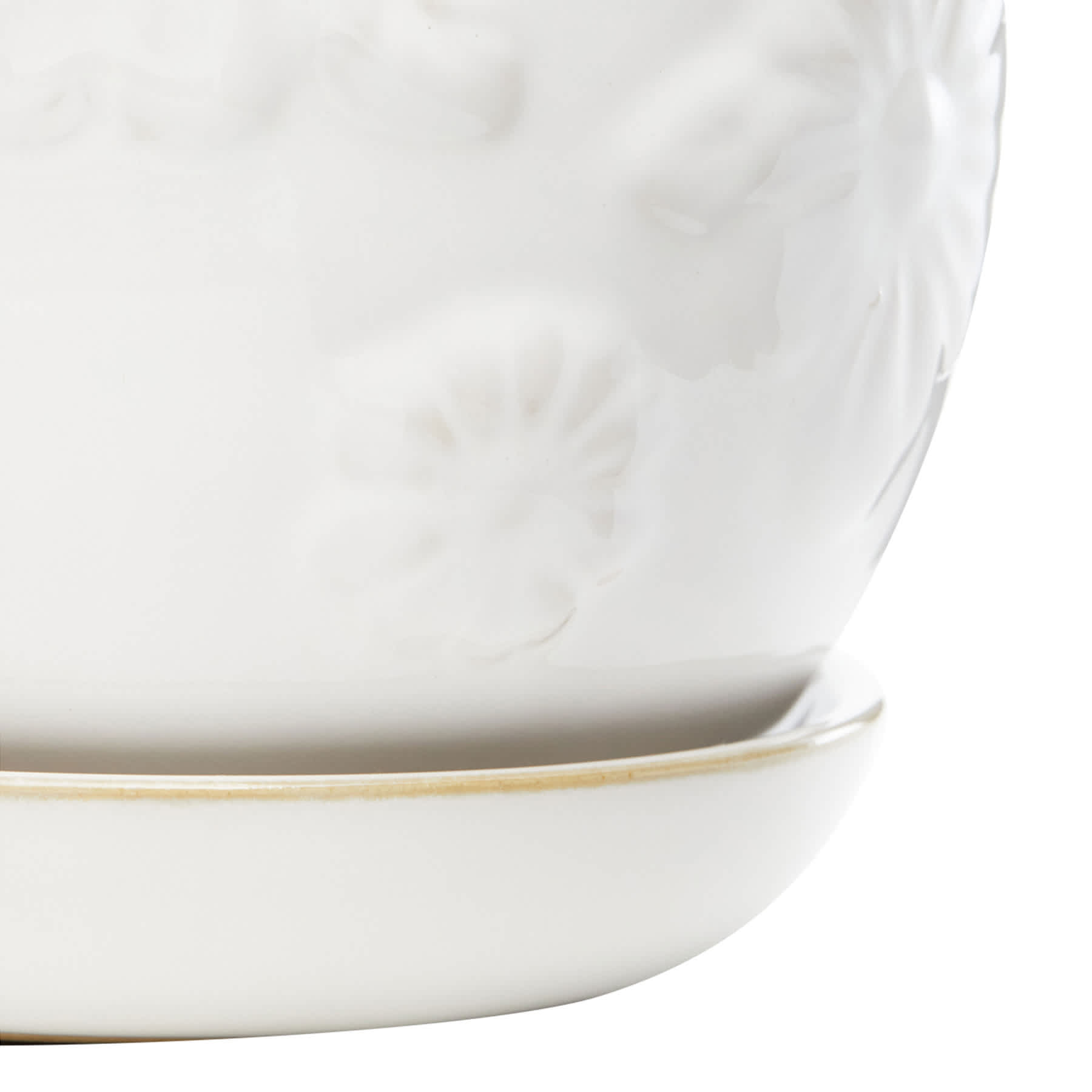 Indoor White Daisy Pot, Medium