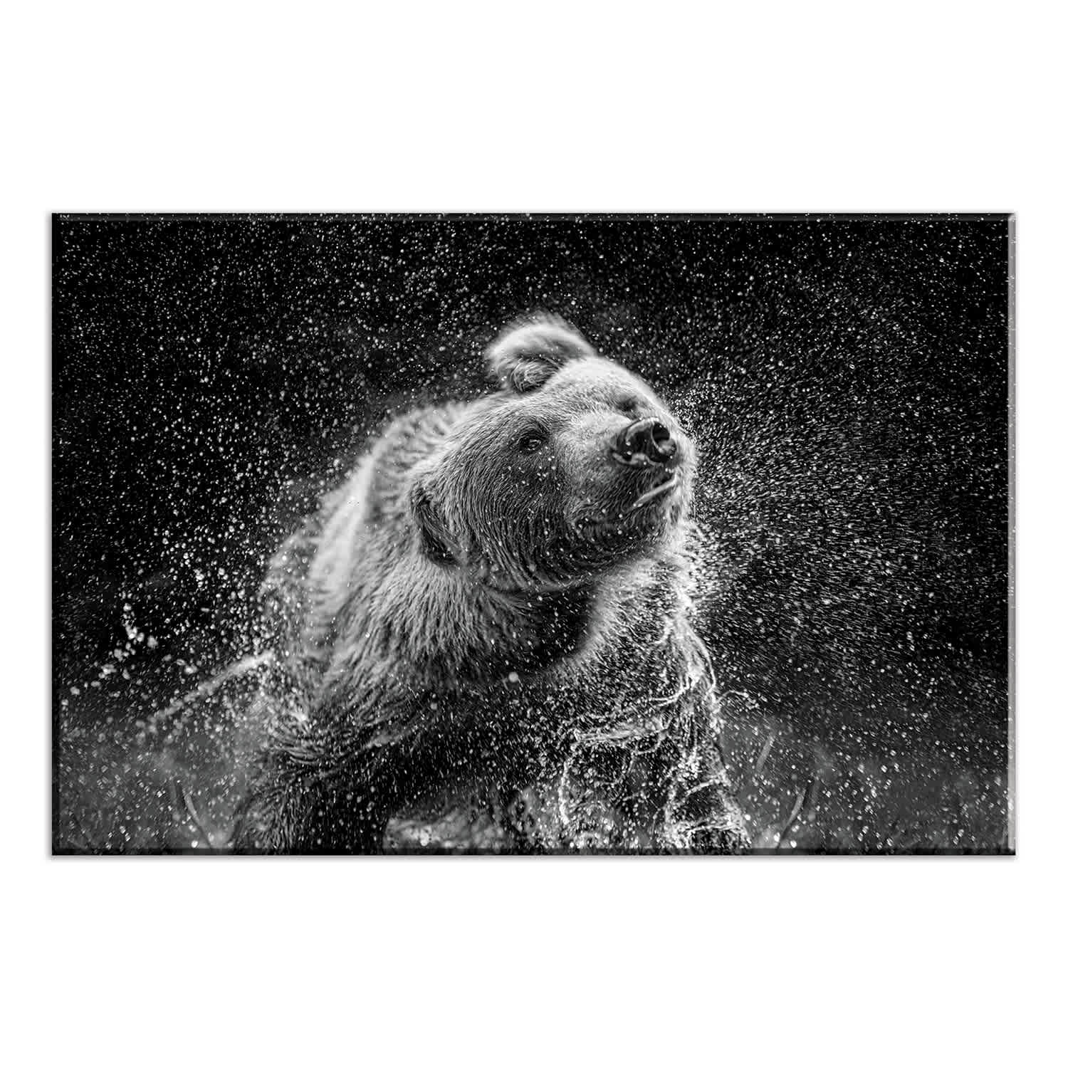 Bear Shaking Water Canvas Wall Art, 20x30