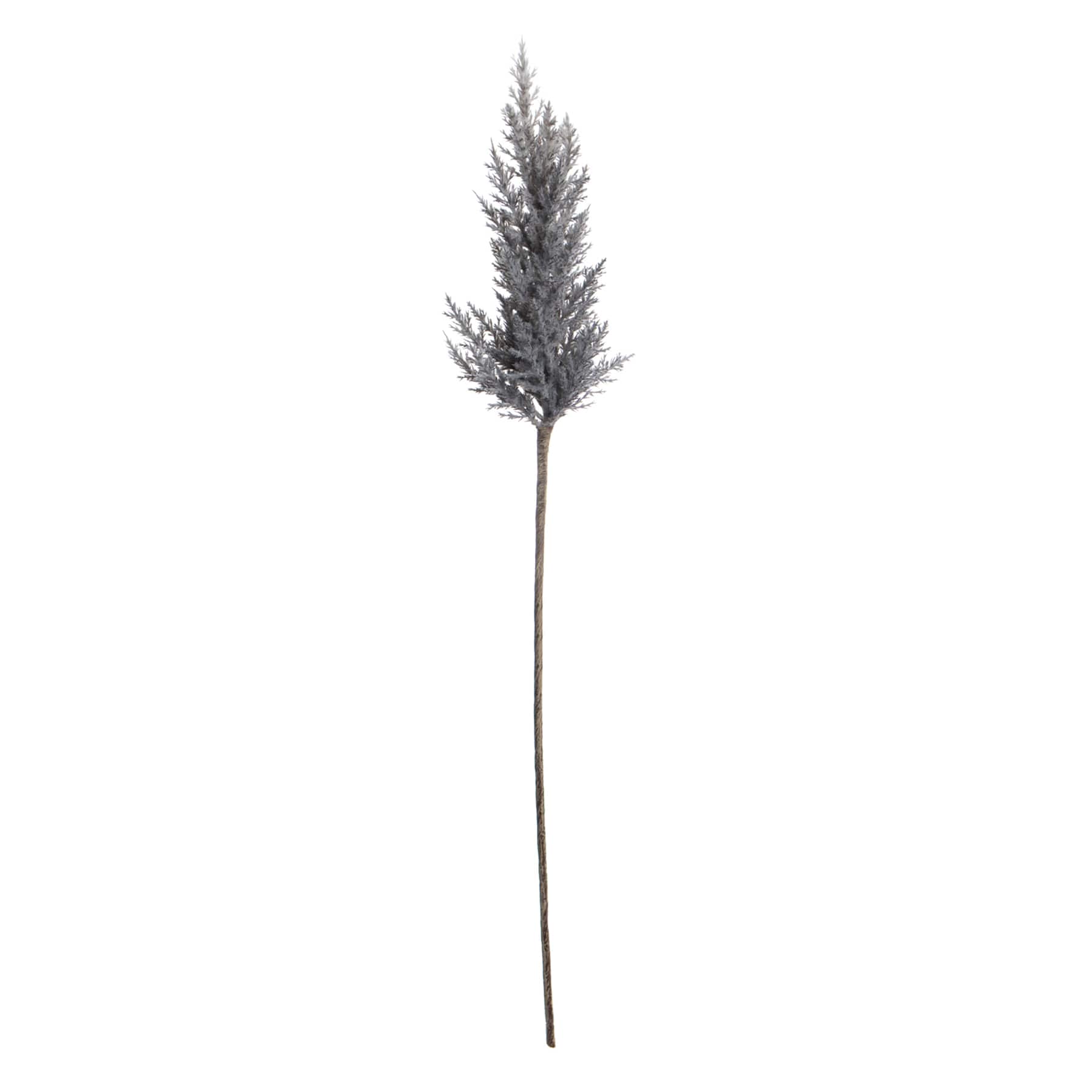 Grey Pampas Grass Stem, 36"