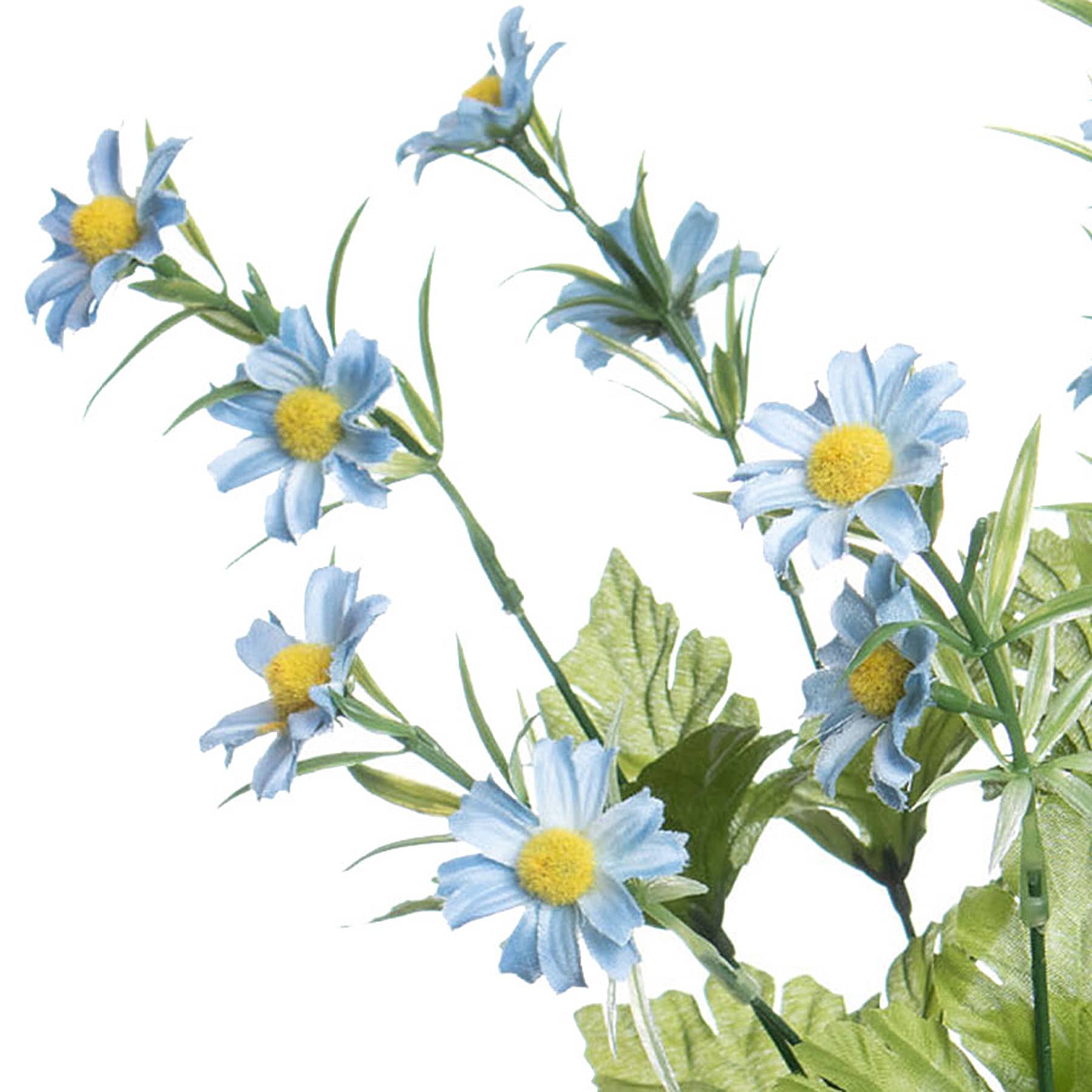 Blue Daisy Bush, 19"
