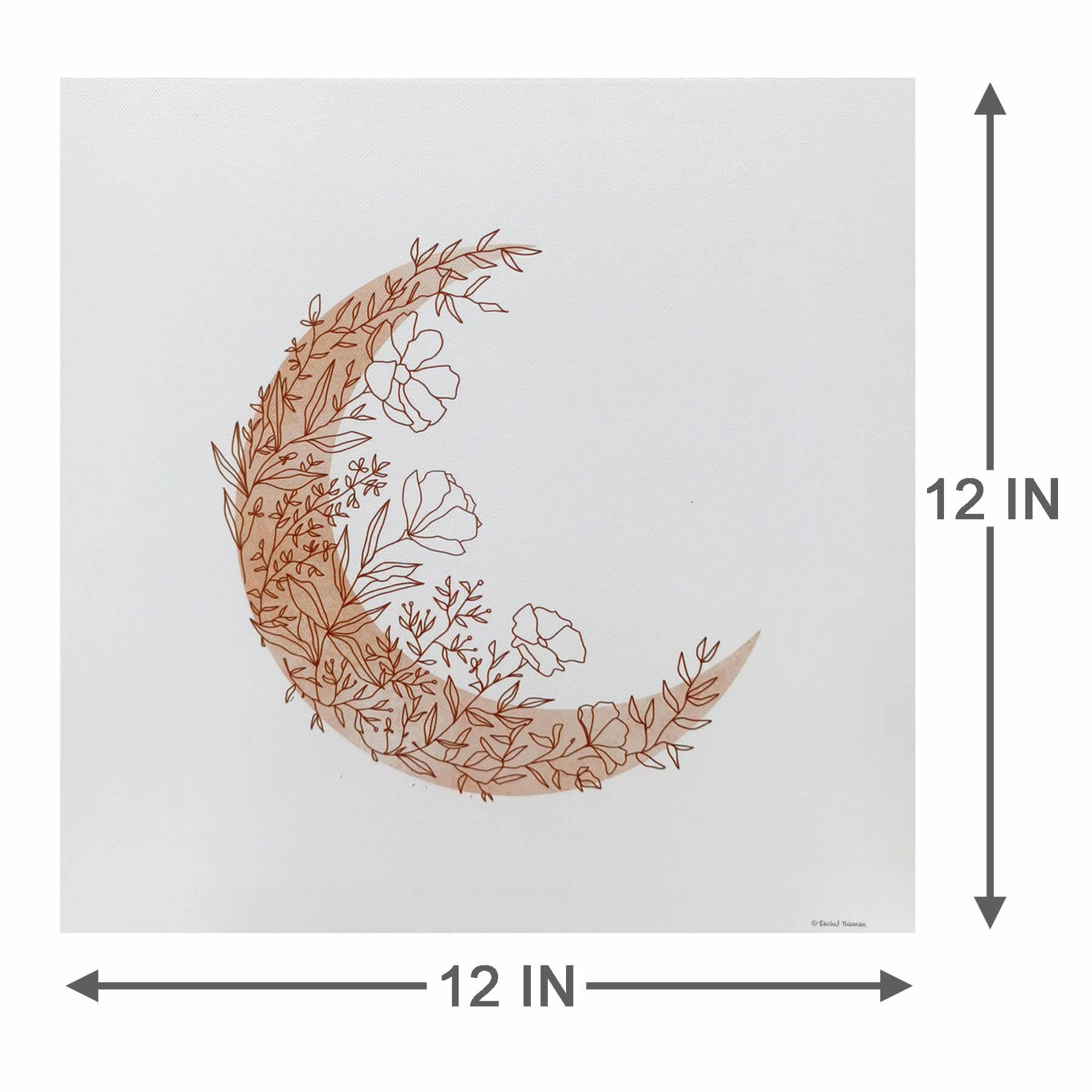 Blooming Moon Canvas Wall Art, 12"