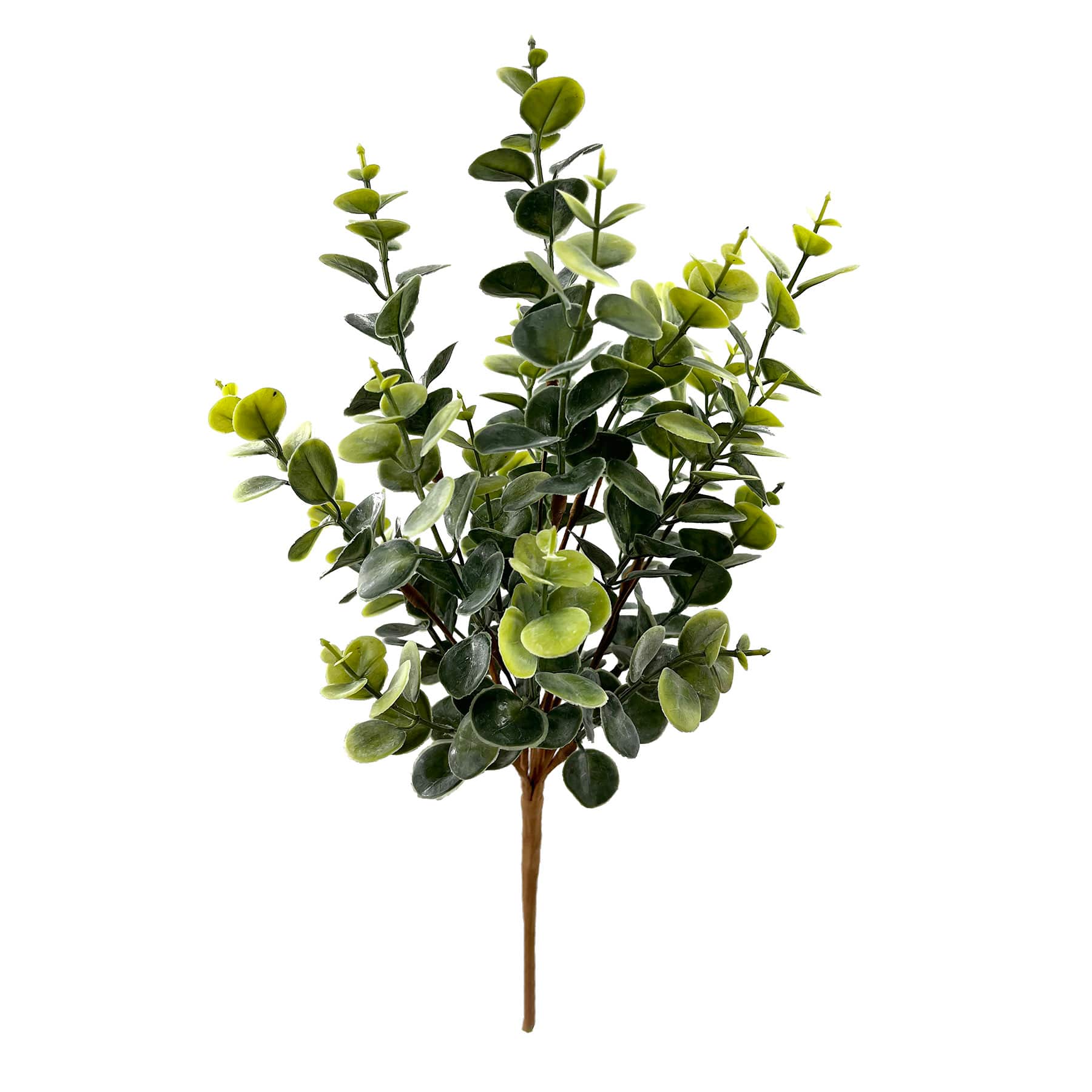 Eucalyptus Bush, 16"