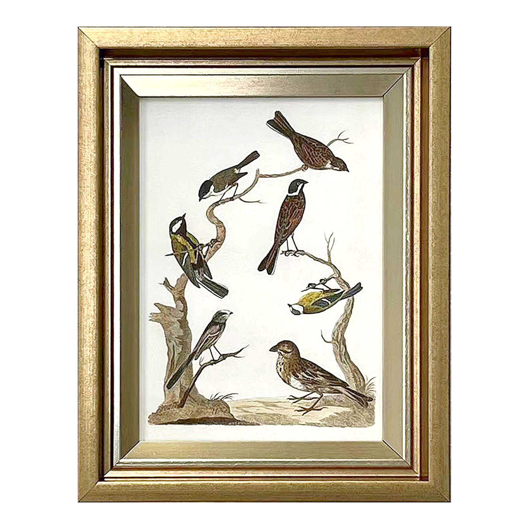 Providence Birds in Nature Table Sign, 7x9