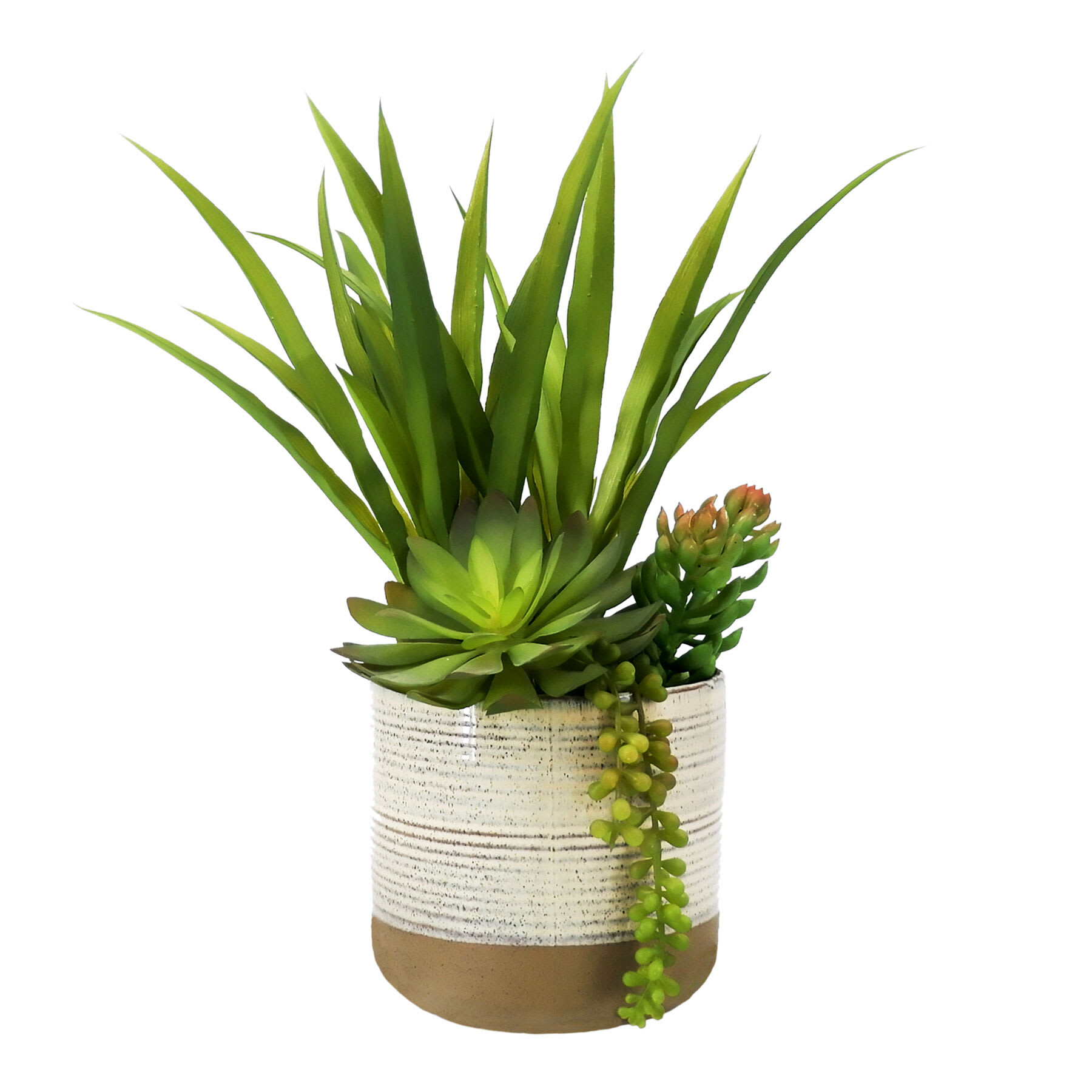 Succulent with Grass in Ceramic Planter, 17"