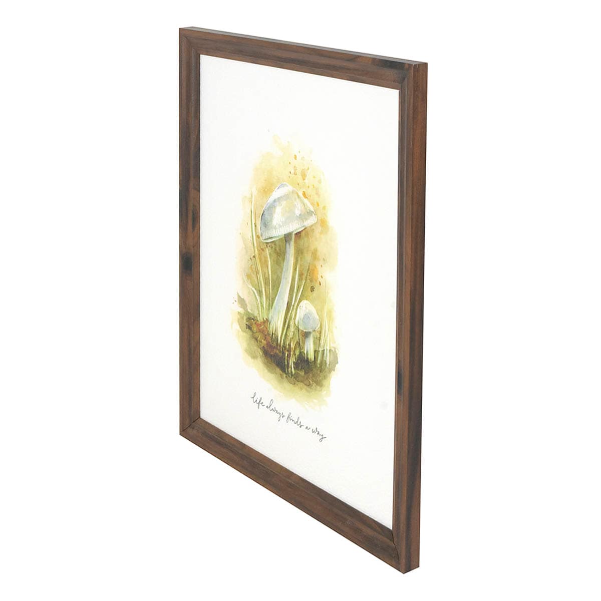 Honeybloom Framed Mushroom Print Wall Art, 13x16