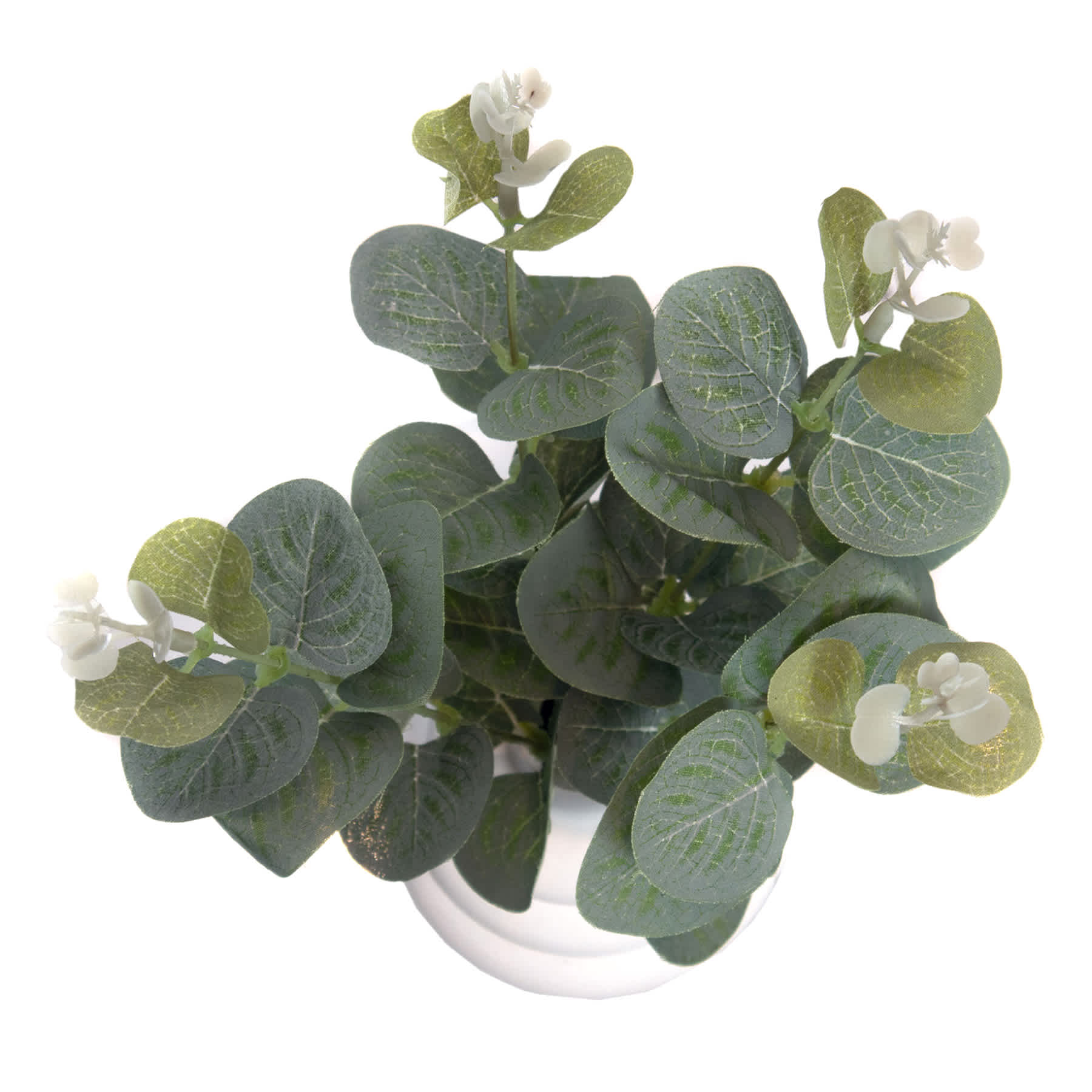10IN EUCALYPTUS IN WHITE CERAMIC POT
