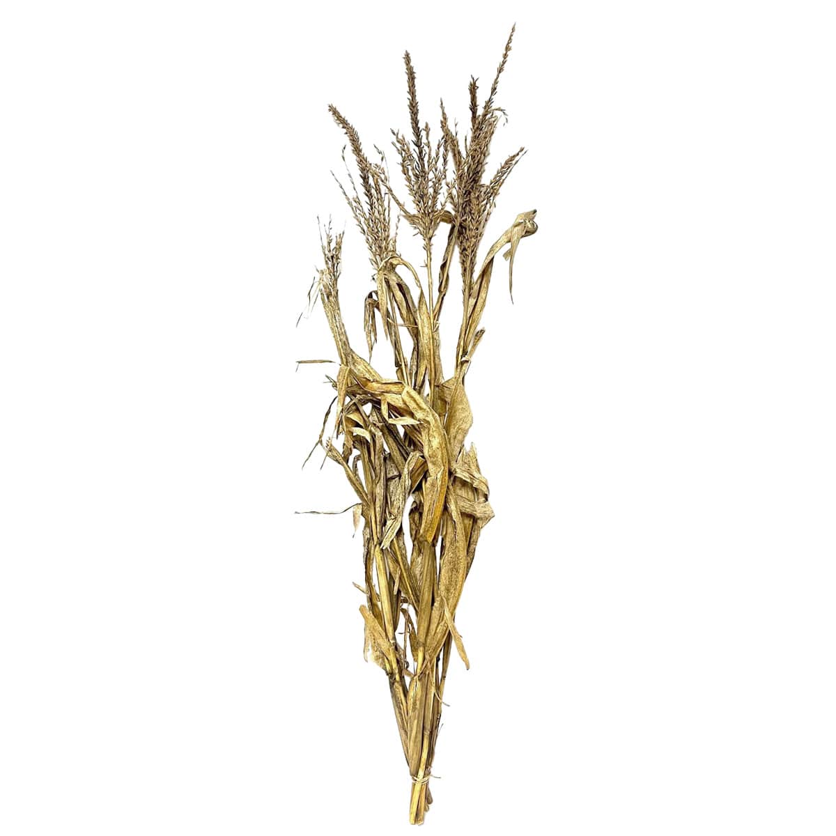 Natural Corn Flower Bunch