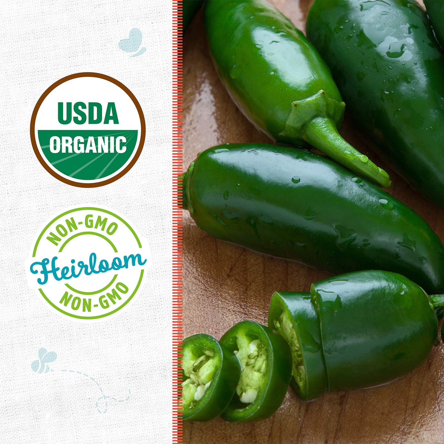 Back to Roots Heirloom Seeds, Pepper Hot Jalapeno Chili Pepper