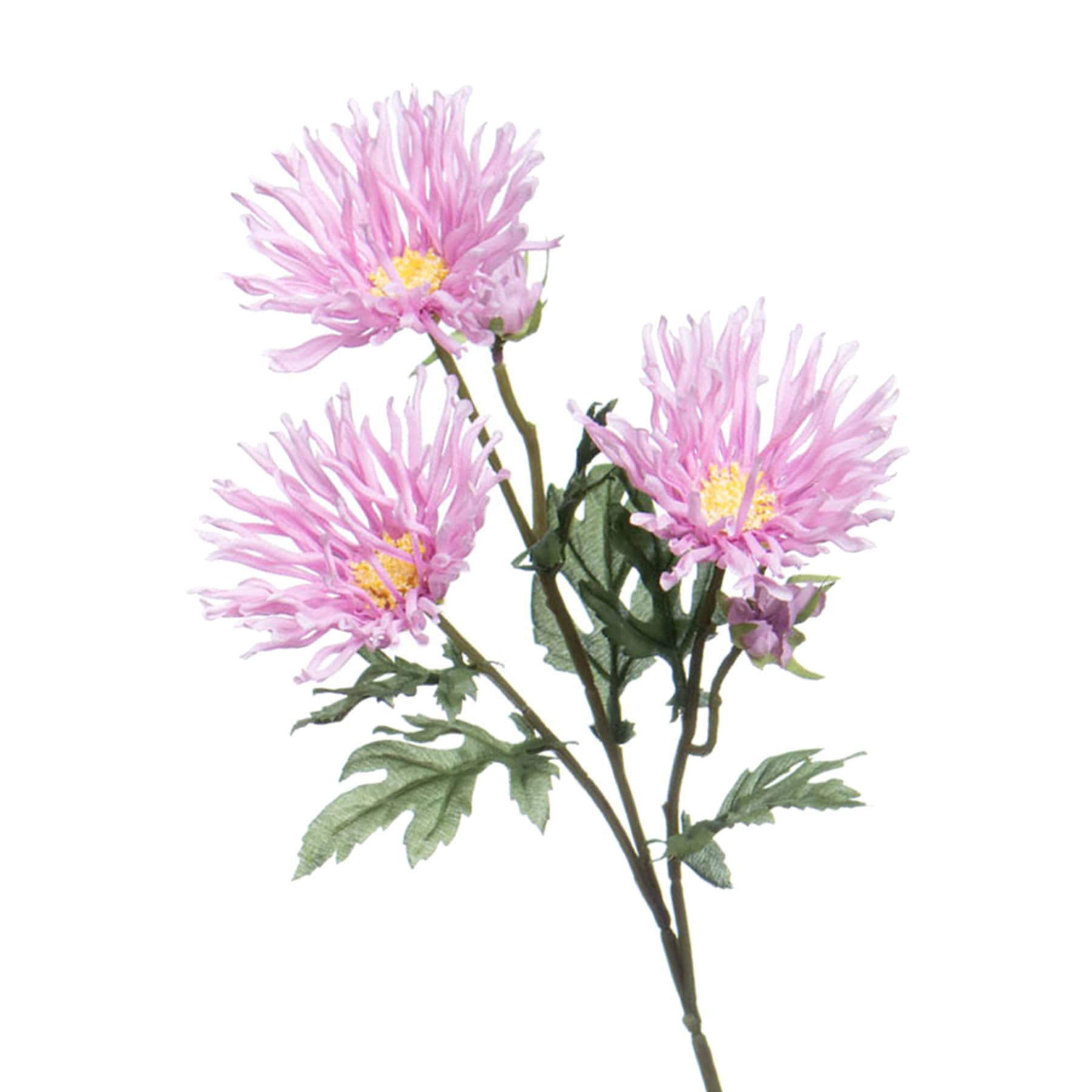 Purple African Daisy Spray, 12"