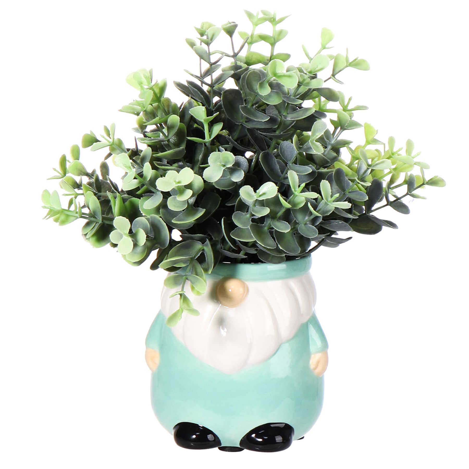 Eucalyptus in Green Gnome Pot