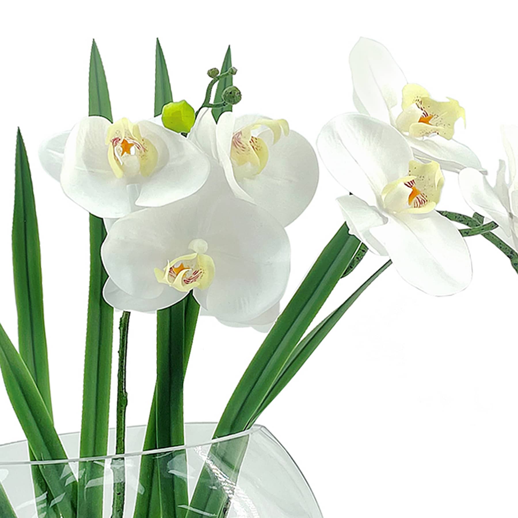 Laila Ali Orchid with Glass Vessel, 15"