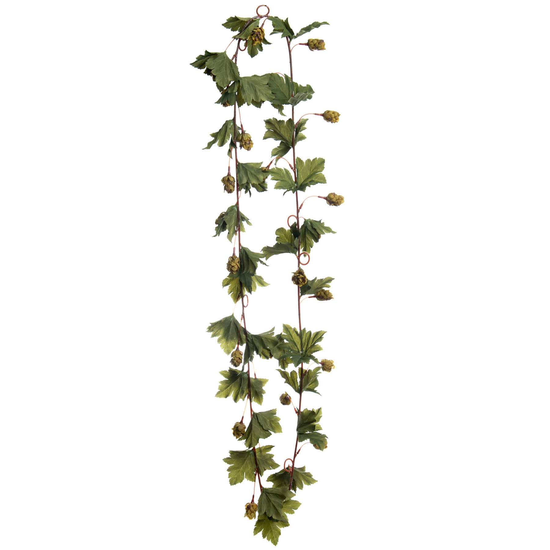 Willow Crossley Green Hops Garland, 72"