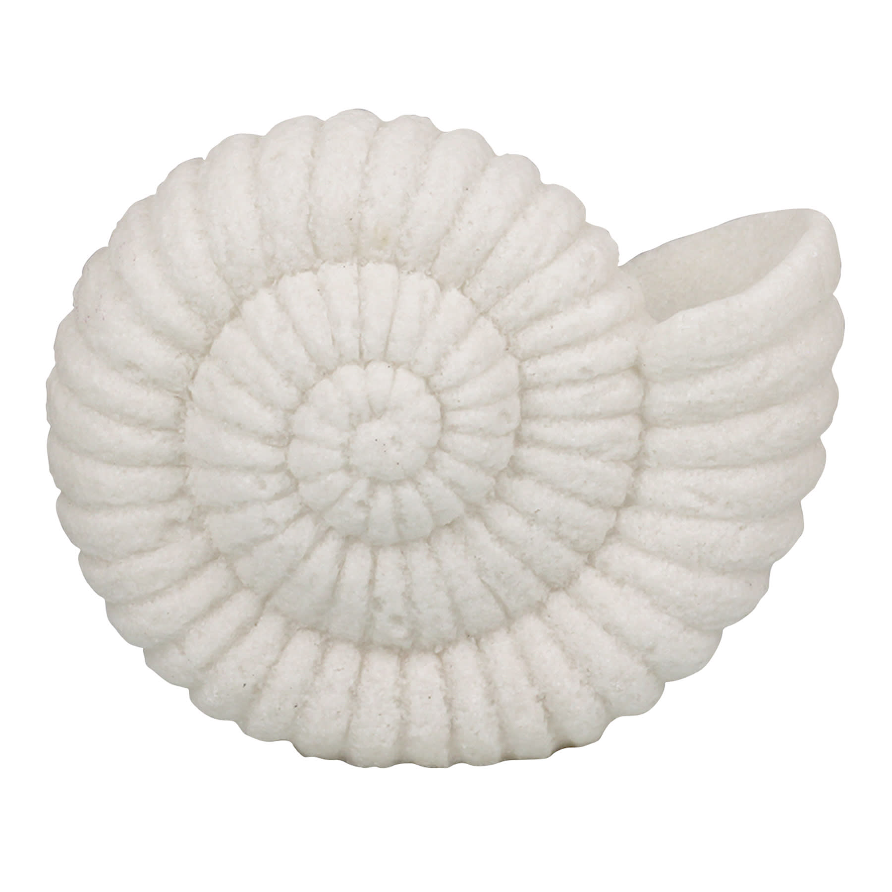 Ty Pennington Shell Sandstone Outdoor LED Garden Statue, 9"