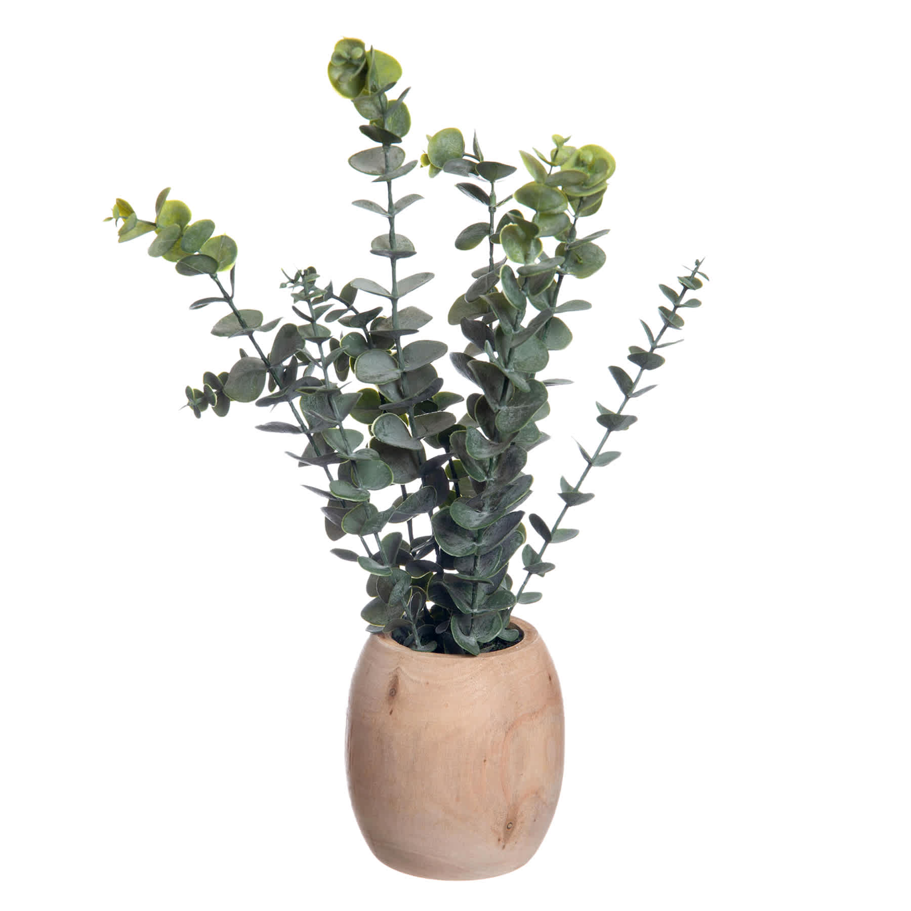 Eucalyptus Spray in Wooden Pot, 16"
