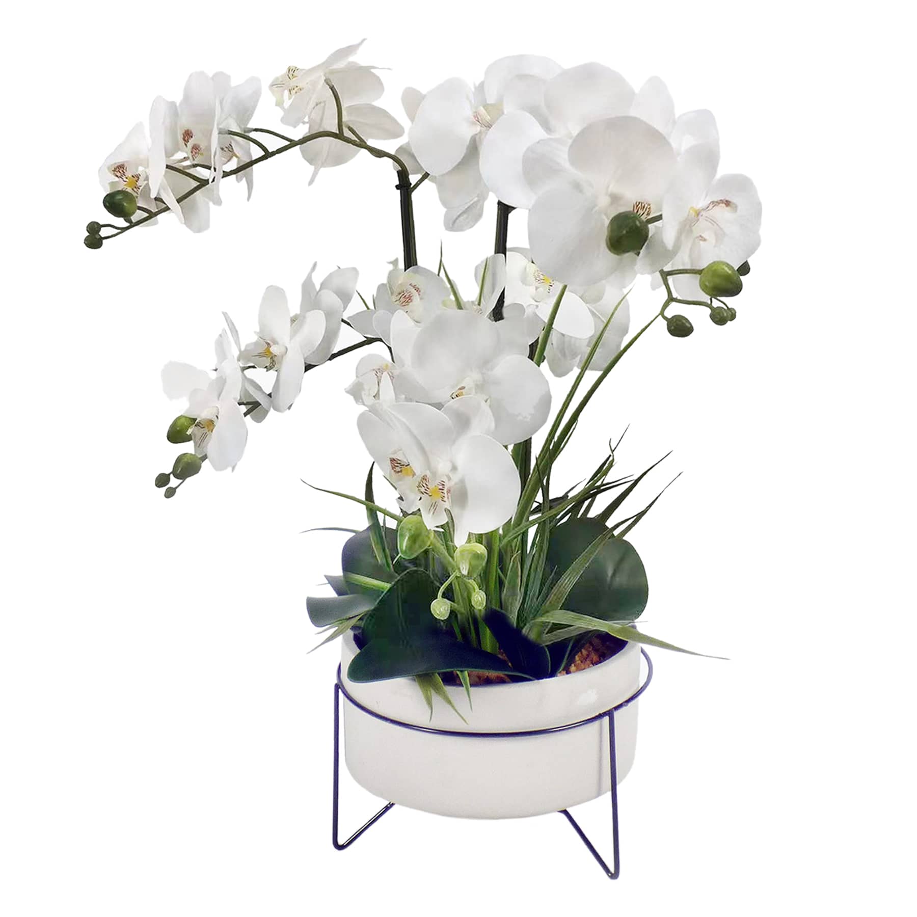 White Orchid in Cement & Metal Plant Stand, 29"