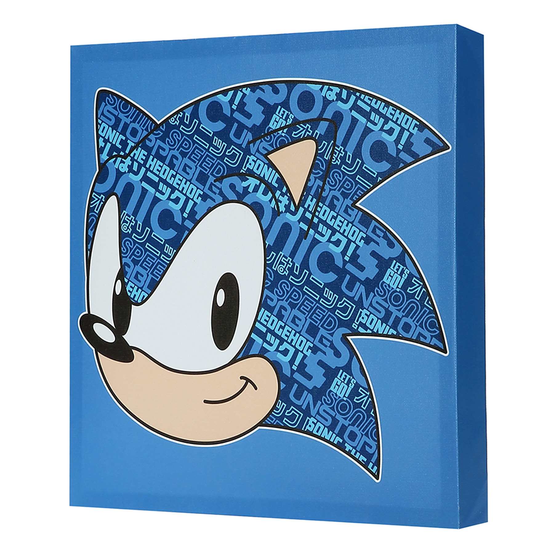 Sonic Canvas Wall Art, 12"
