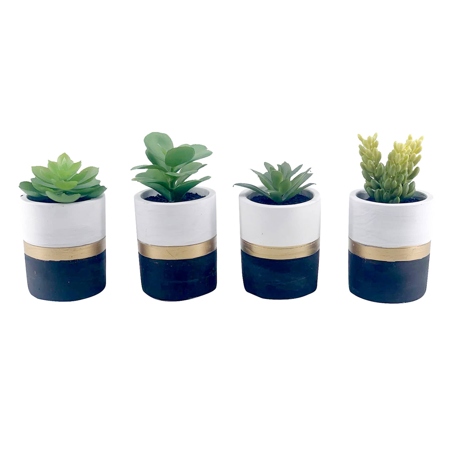 Set of 4 Succulents