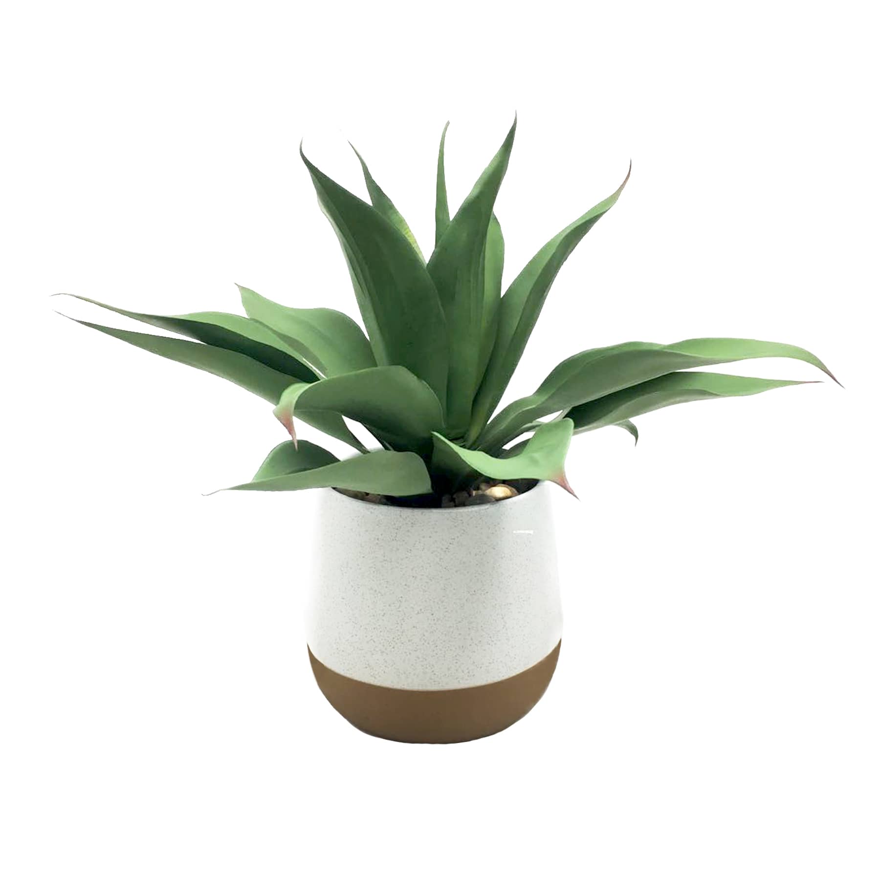 Honeybloom Greenery Plant with White Planter, 14"
