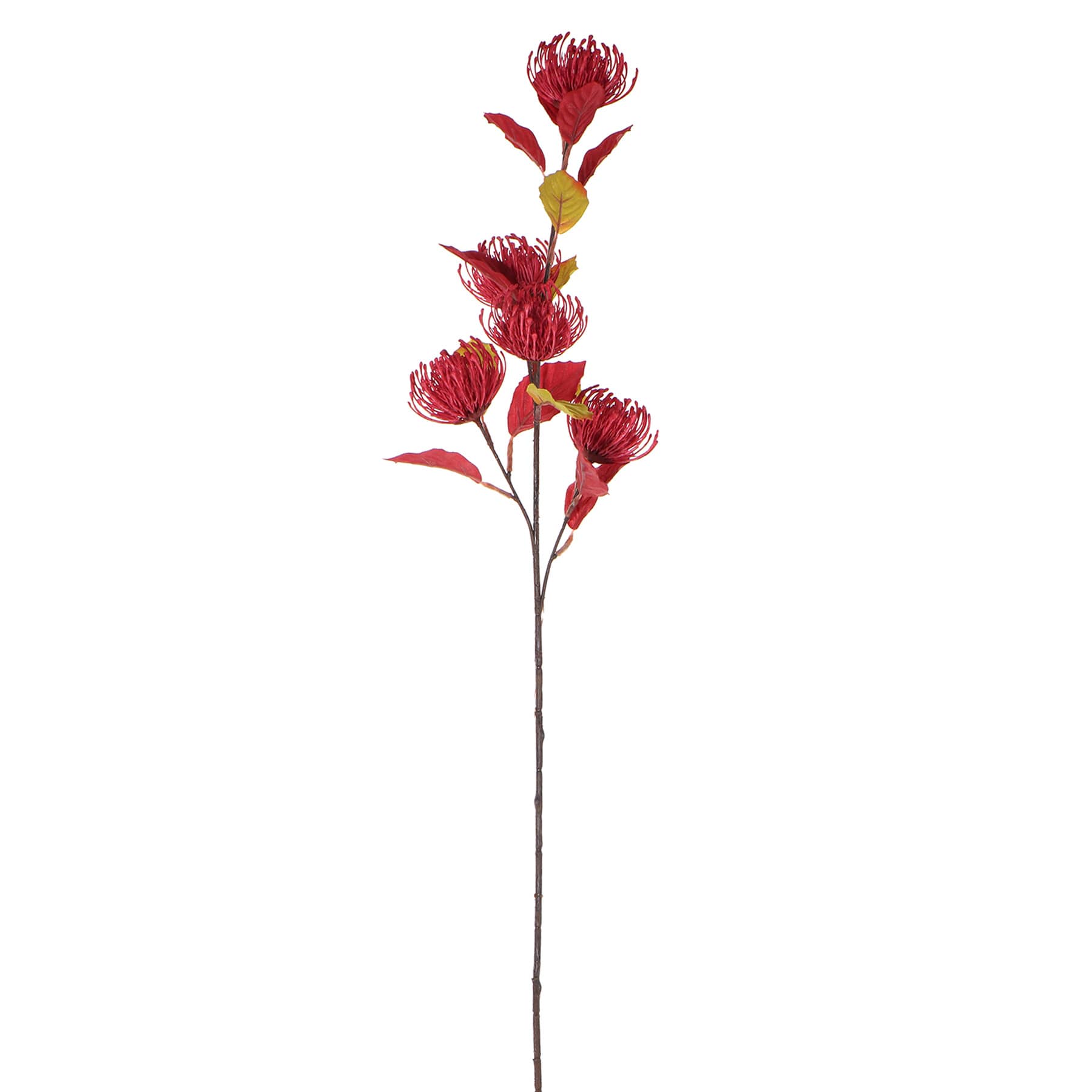 Red Thistle Stem, 32"