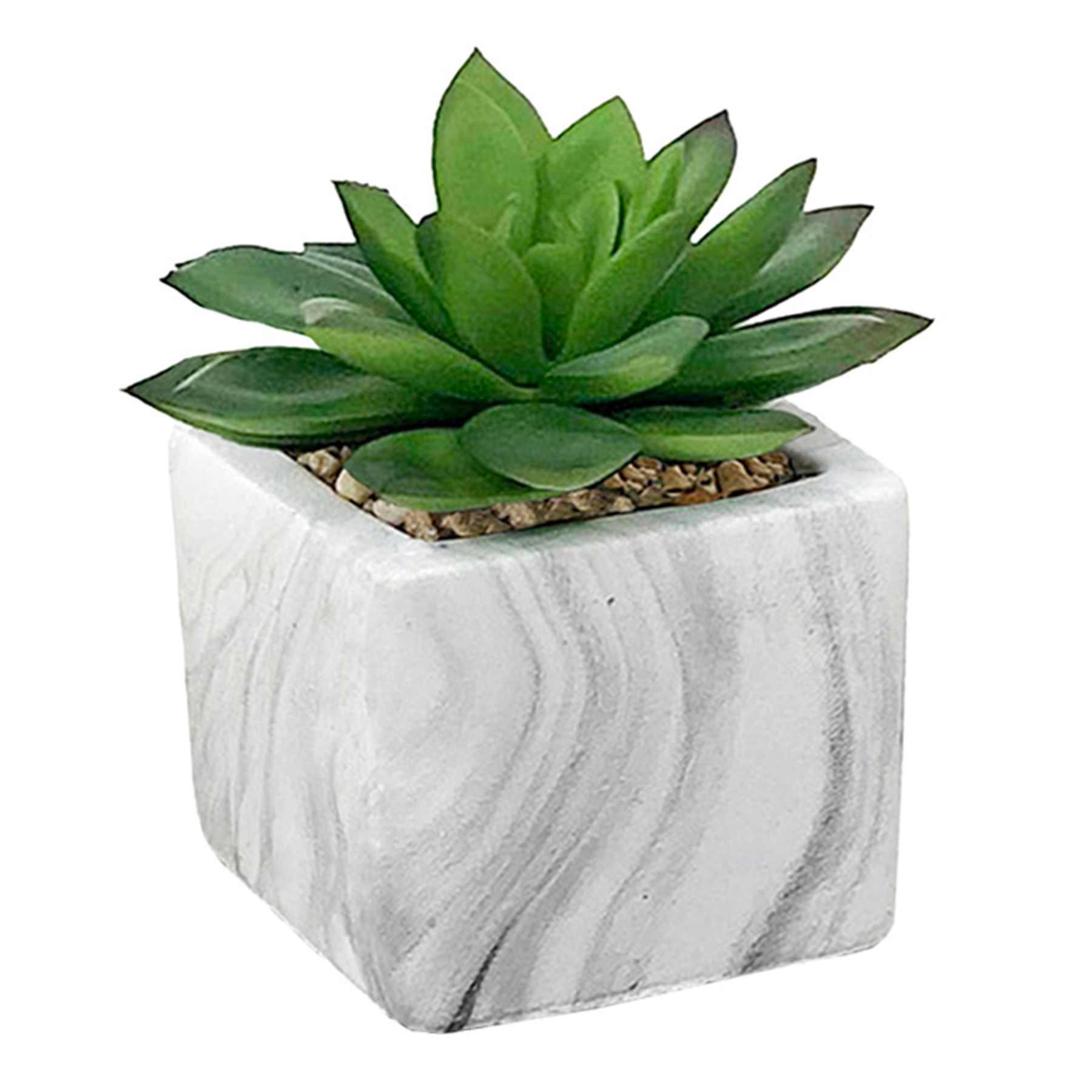 Succulent in Marble-Look Cement Pot, 4"