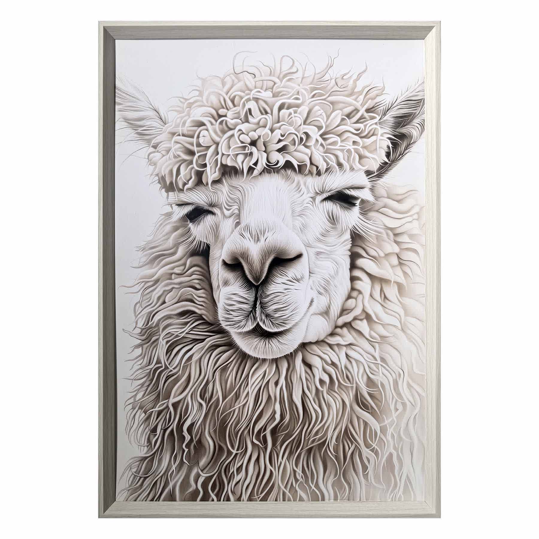 Glass Framed Highland Llama Paper Print Wall Art, 25x37