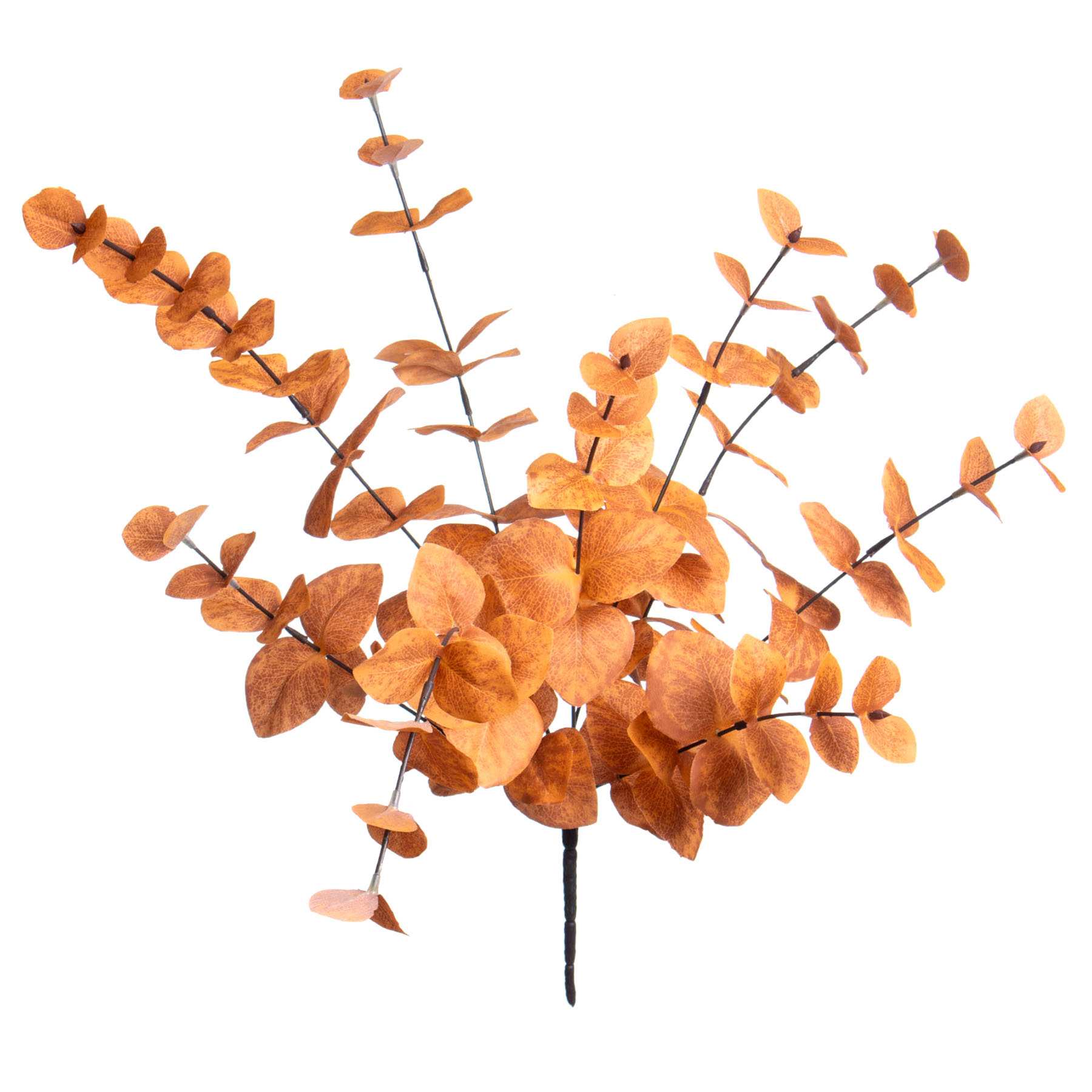 Orange Eucalyptus Stem, 21.5"