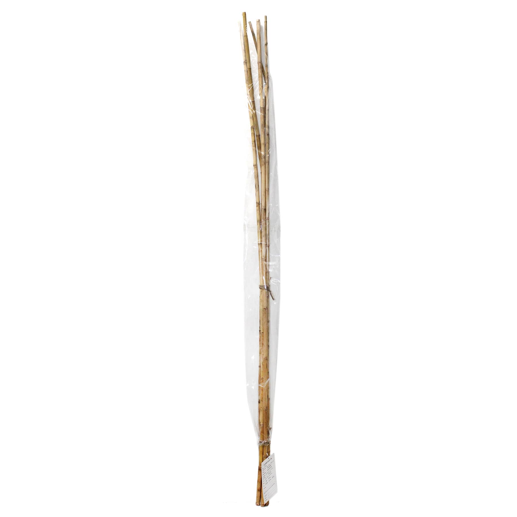 Found & Fable 5-Piece Natural Nanal Stick Bunch