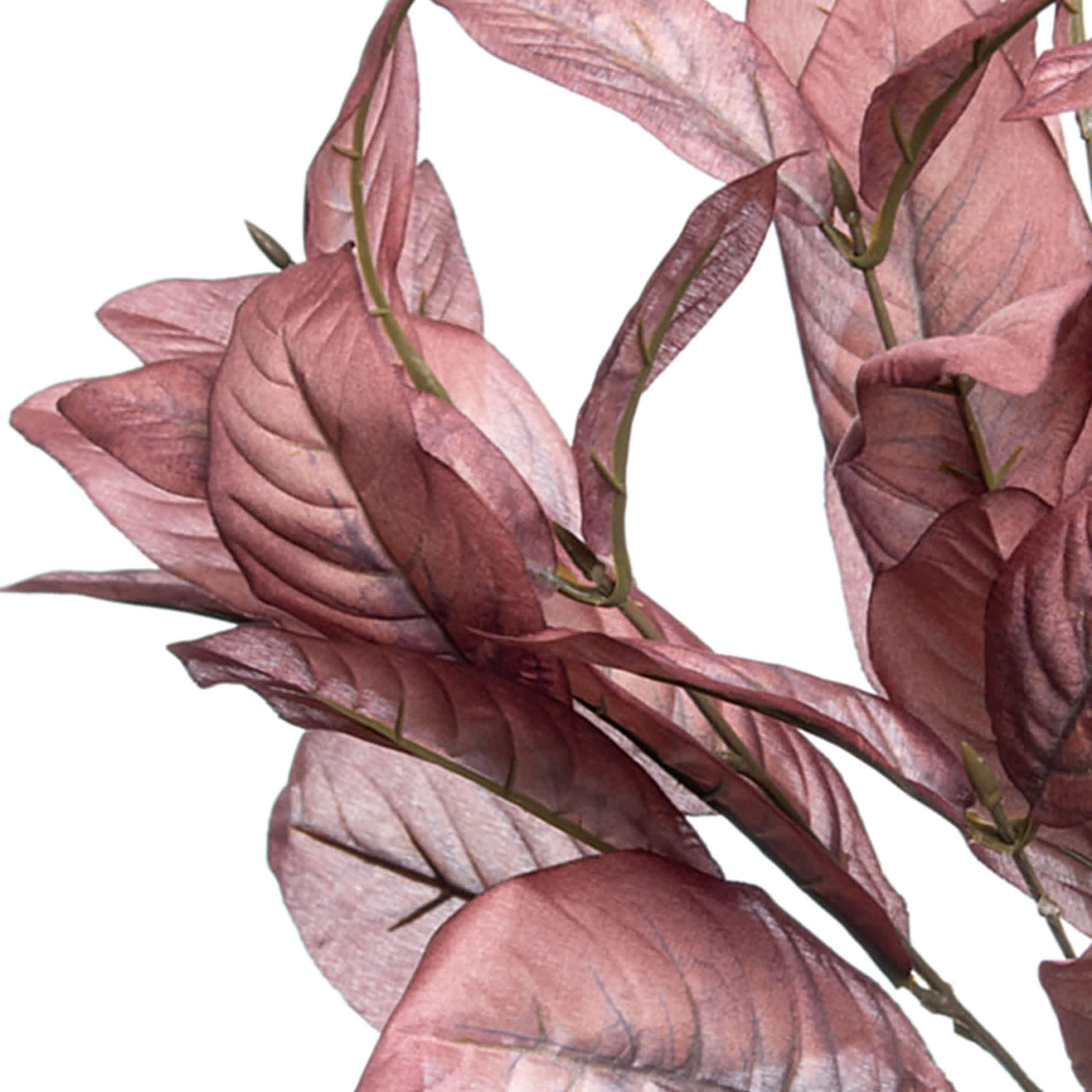 Magnolia Leaf Bush, 19"