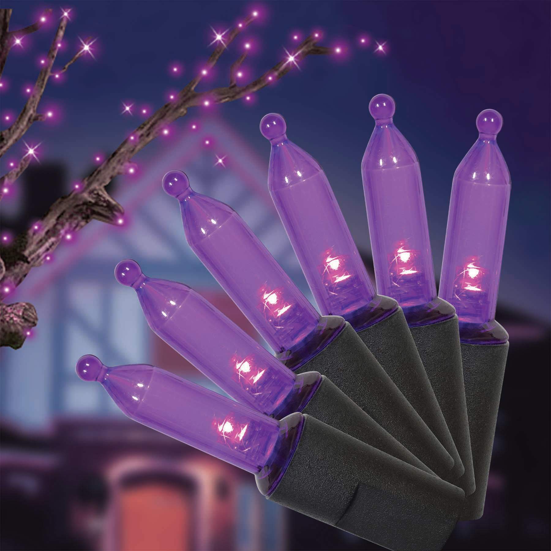 70-Count LED Purple Mini Lights