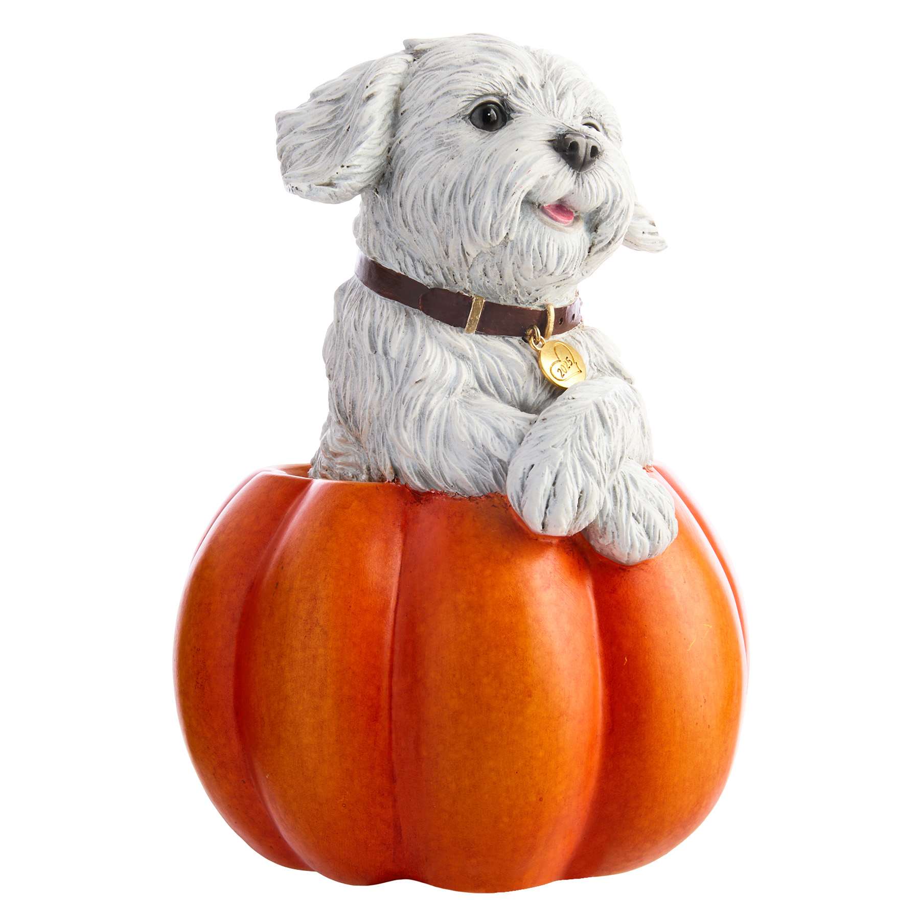 Homespun Harvest Dog Squash, 9"