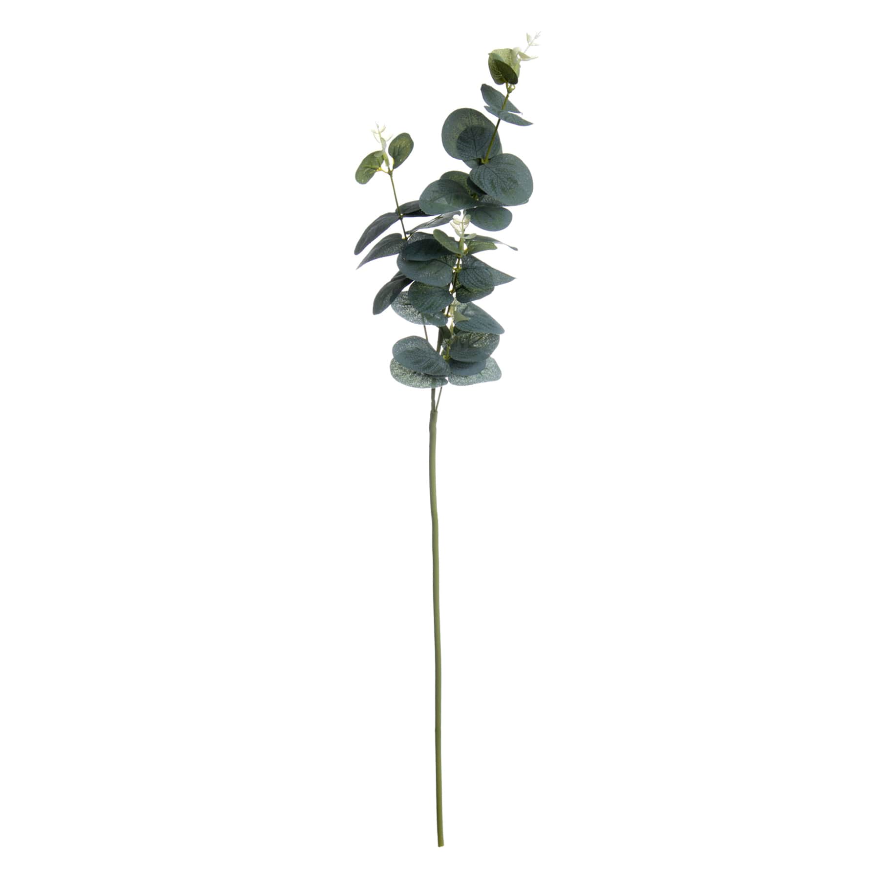 Green Eucalyptus Stem, 28"