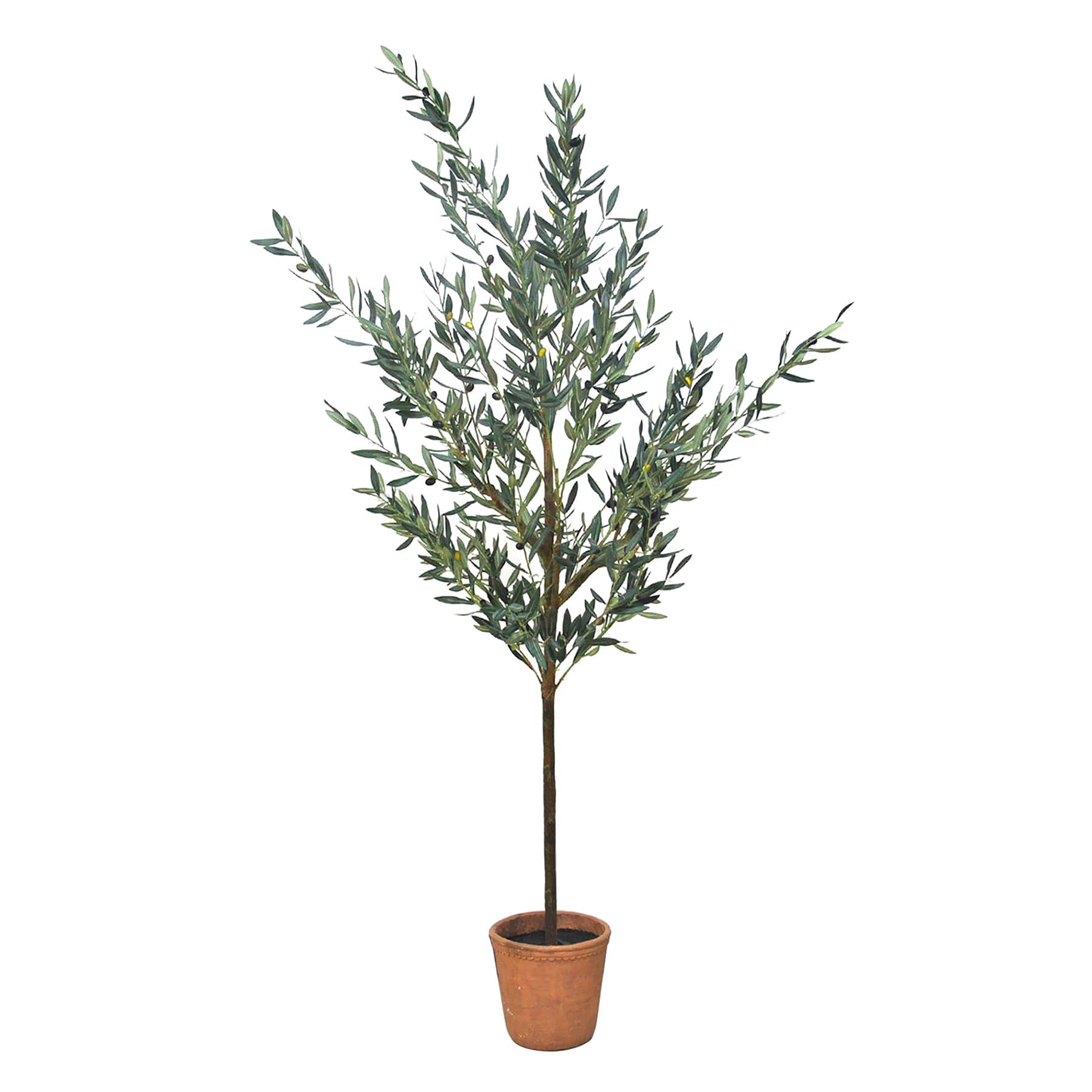 Honeybloom Olive Tree in Melamine Vessel, 72"