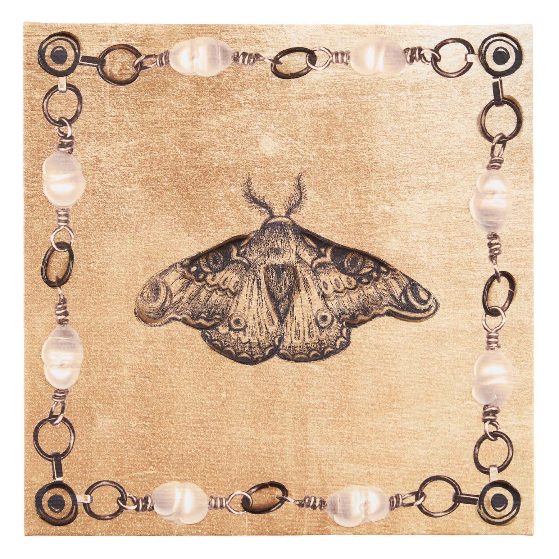SCADpro Moth I Canvas Wall Art, 12"