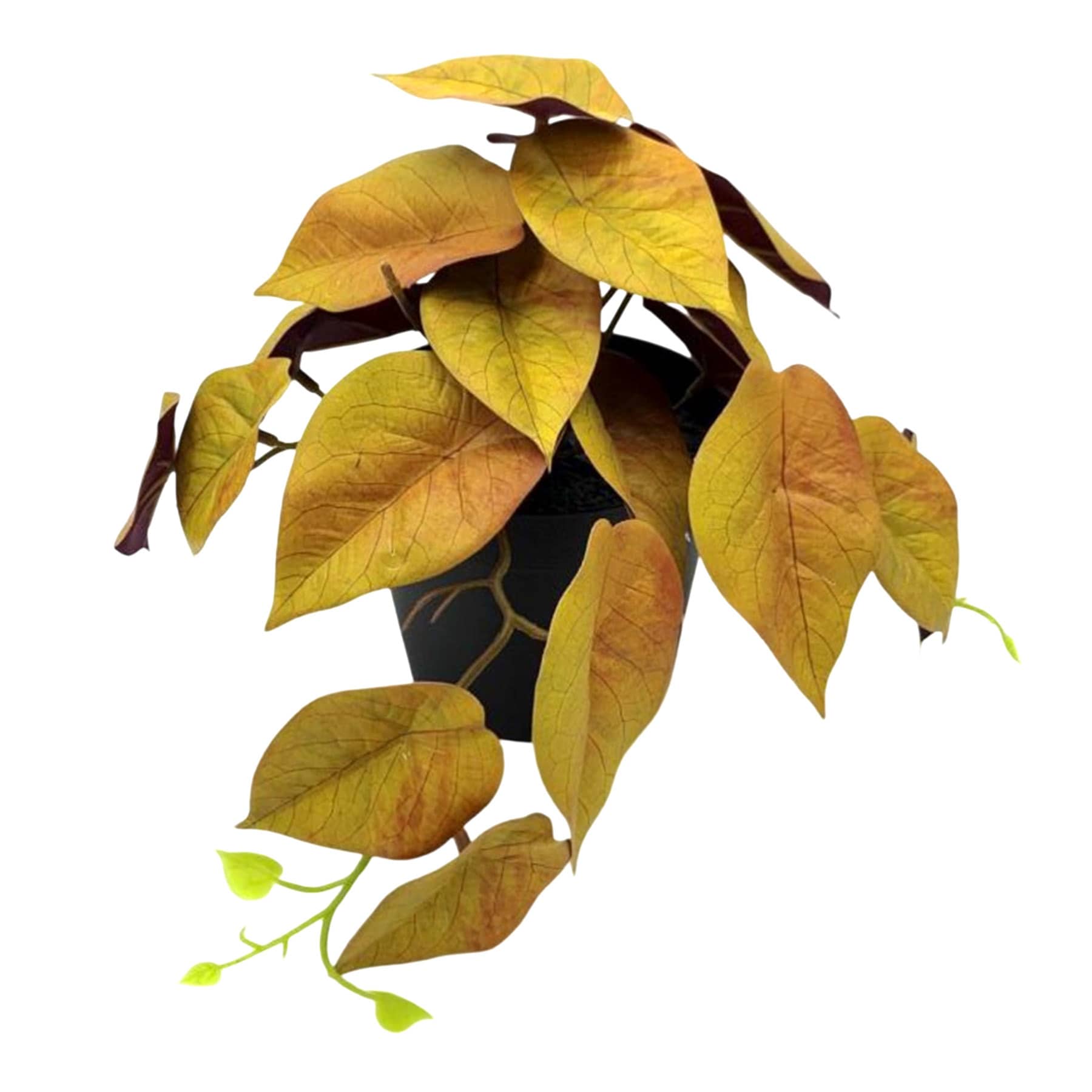 Yellow Greenery in Pot, 6"