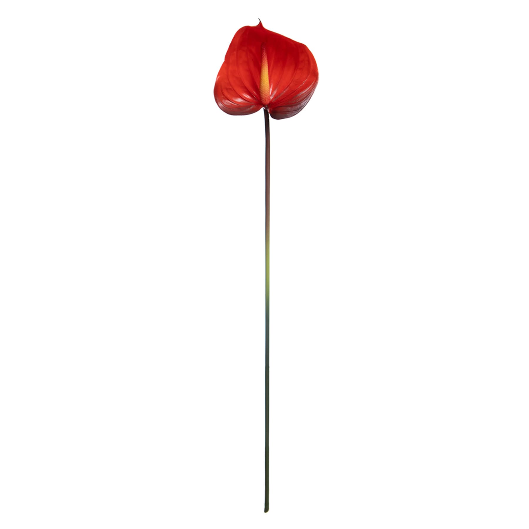 Red Anthurium Stem, 27"