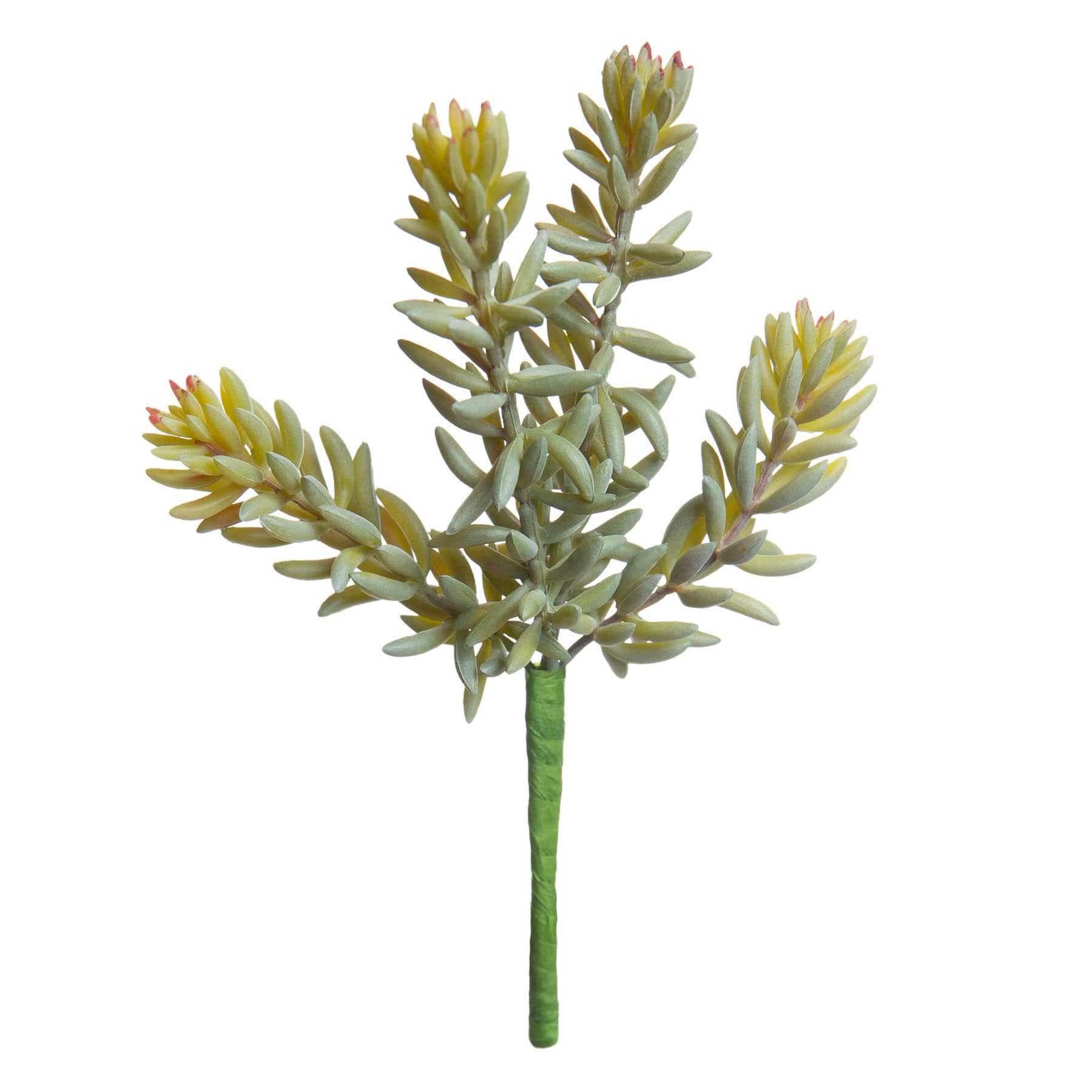 Ash Green Sedum Pick, 7"