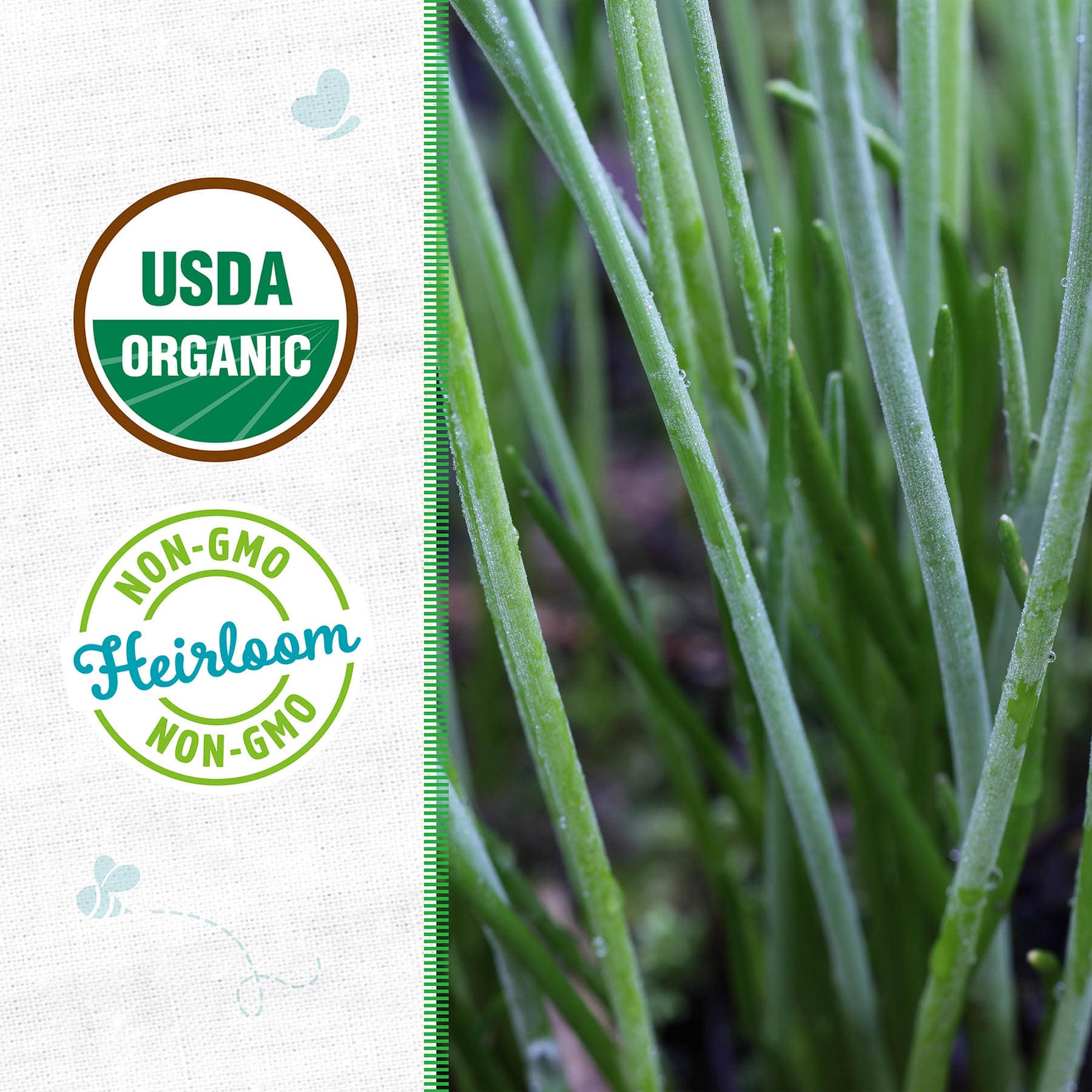 Back to Roots Heirloom Seeds, Chives Garlic