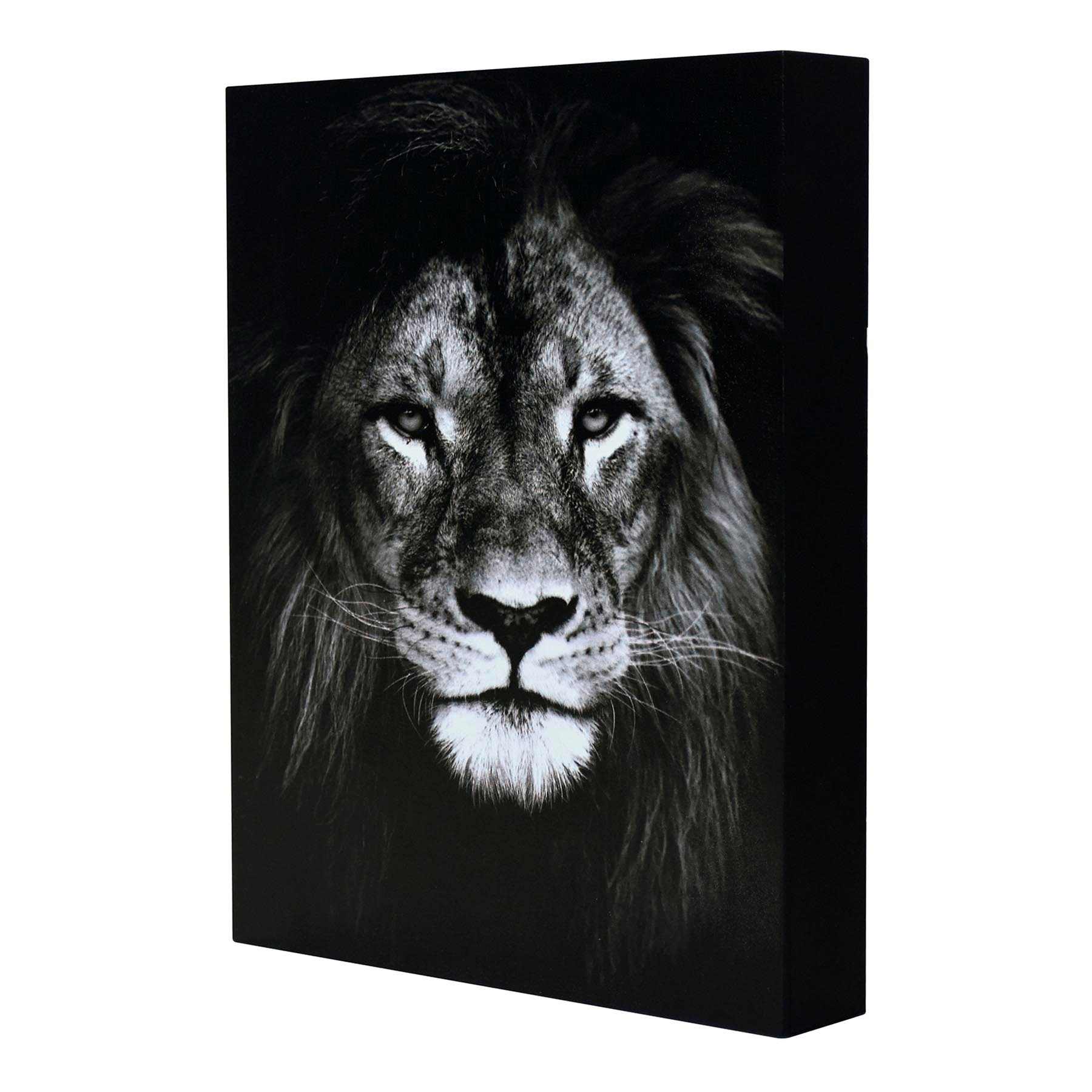 Lion Block, 8x10