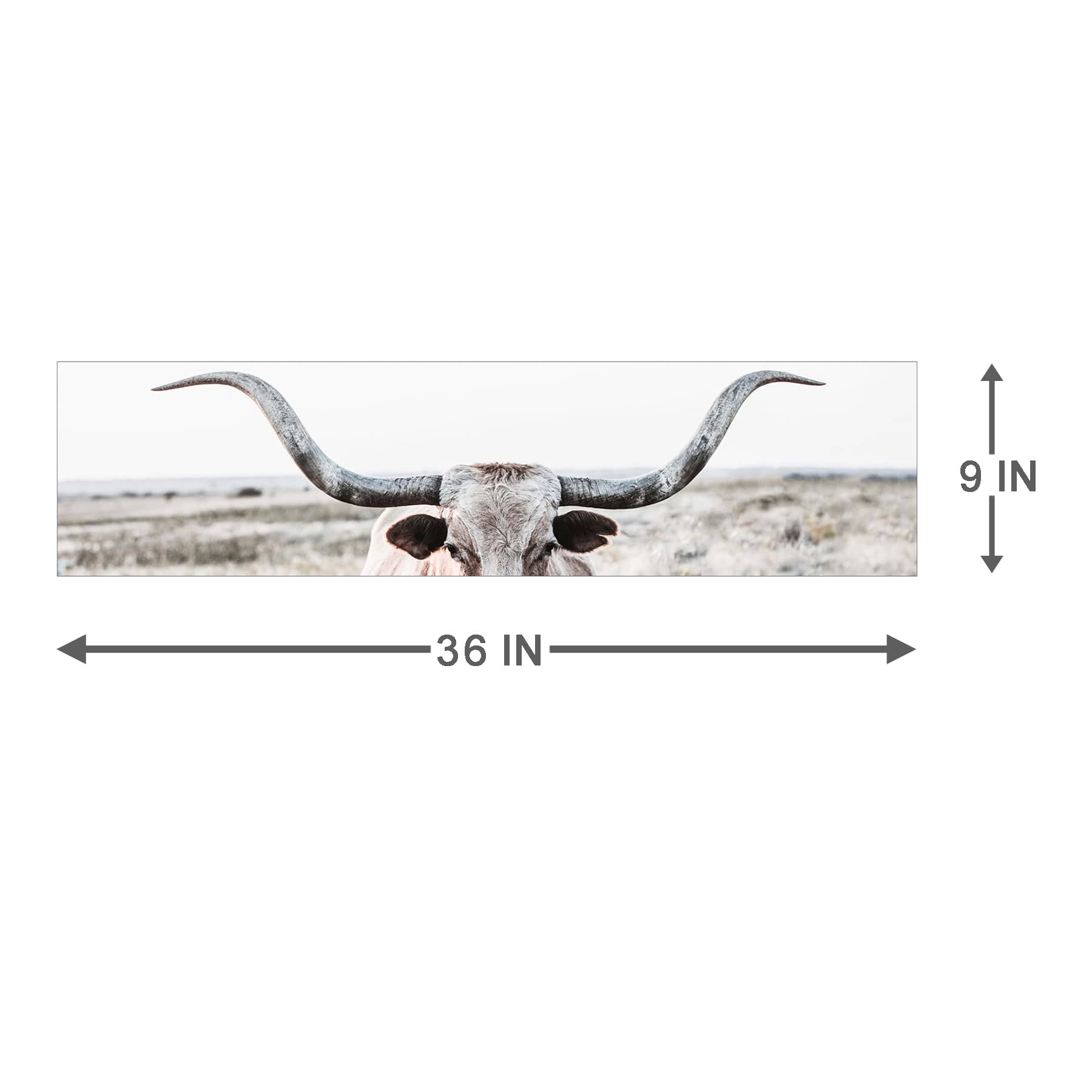 Texas Longhorn Canvas Wall Art, 36x9
