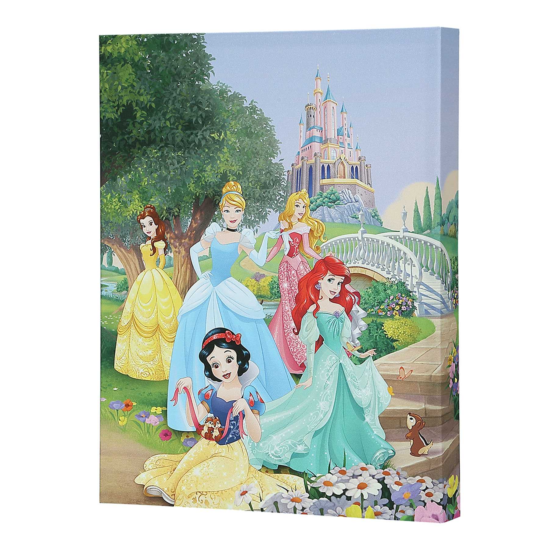 Disney Princess Canvas Wall Art, 11x14