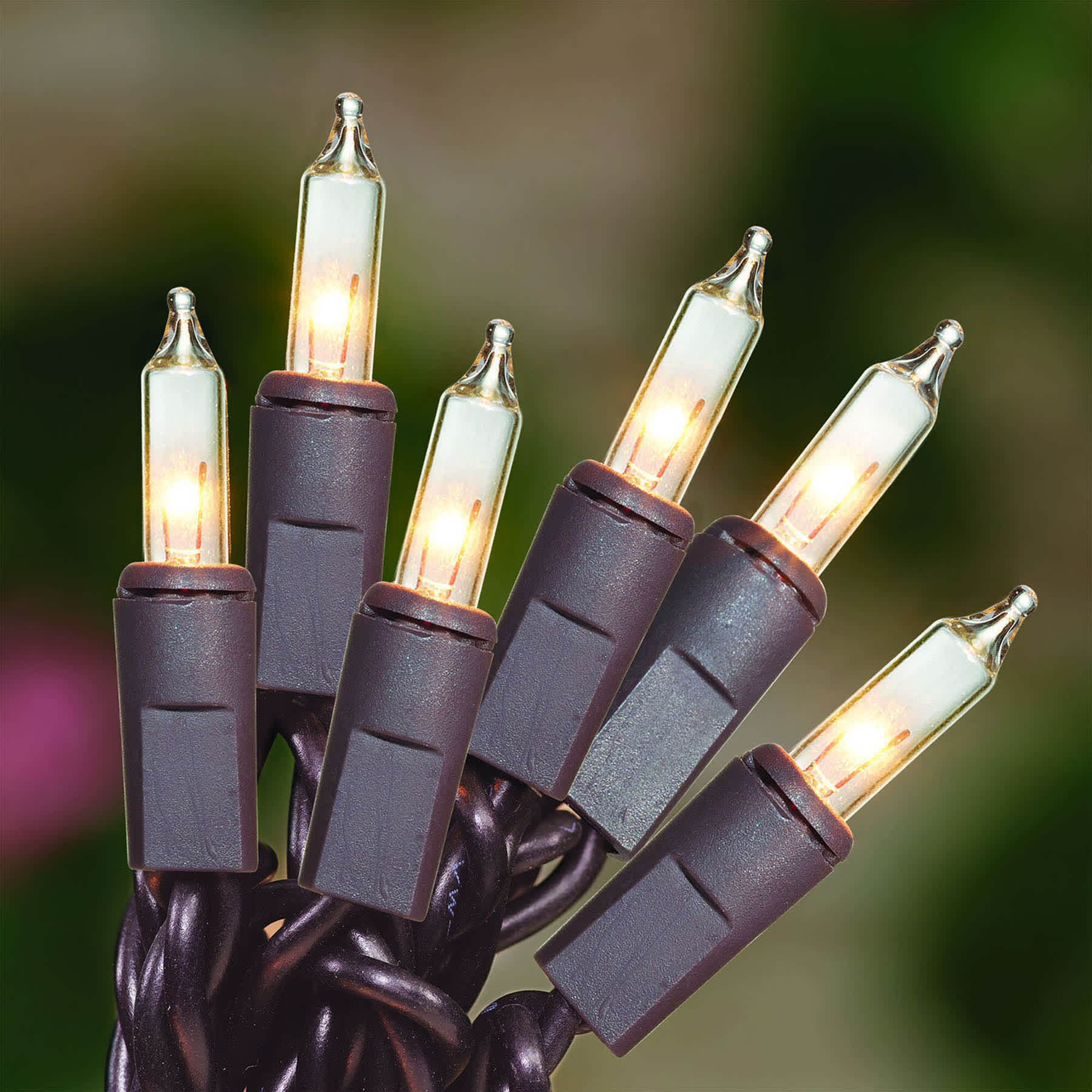 100-Count Clear Mini Lights with Brown Wire