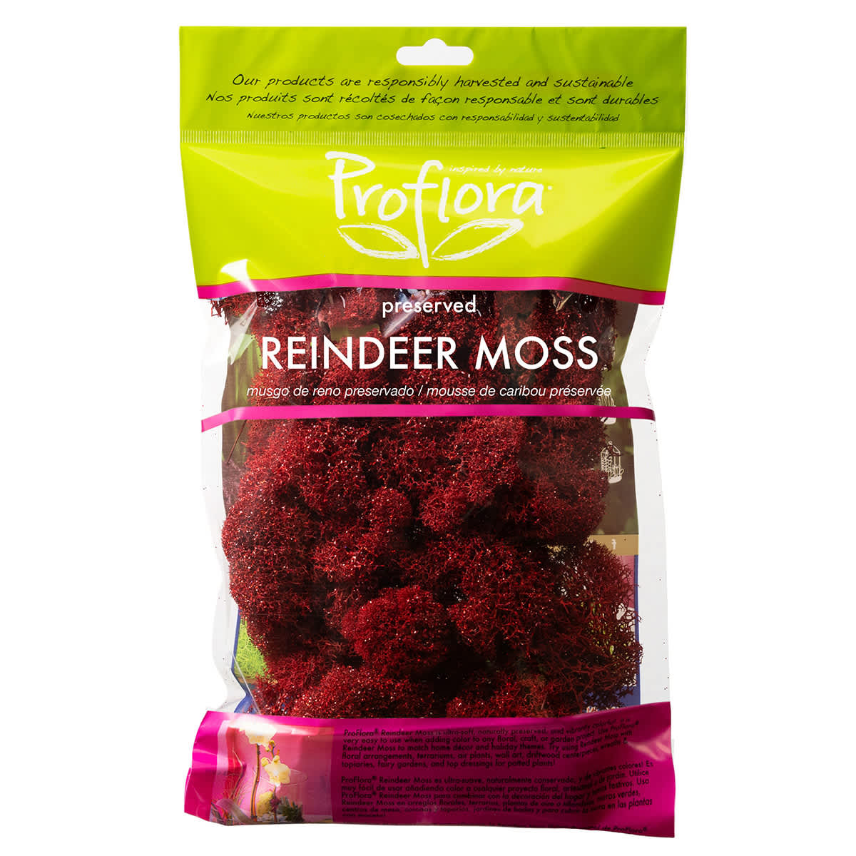 Glittered Red Reindeer Moss