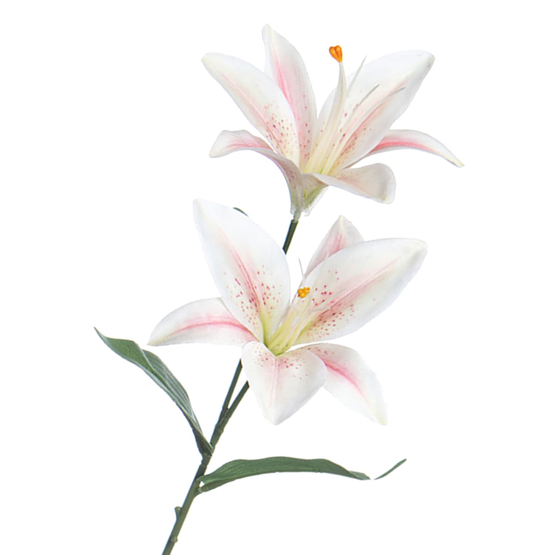 White & Pink Casablanca Spray, 23"