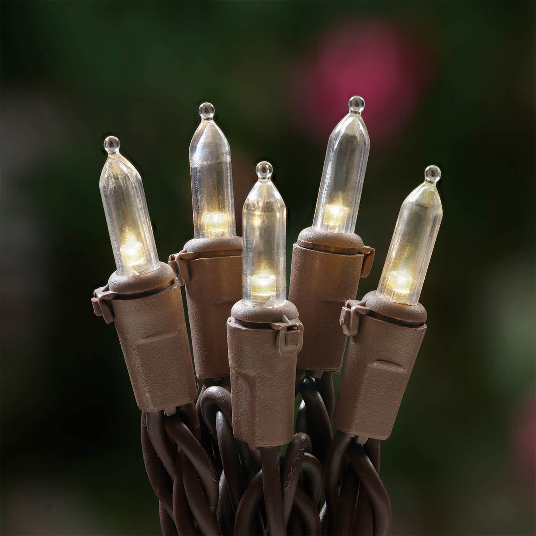 100-Count Warm White LED Mini Lights with Brown Wire