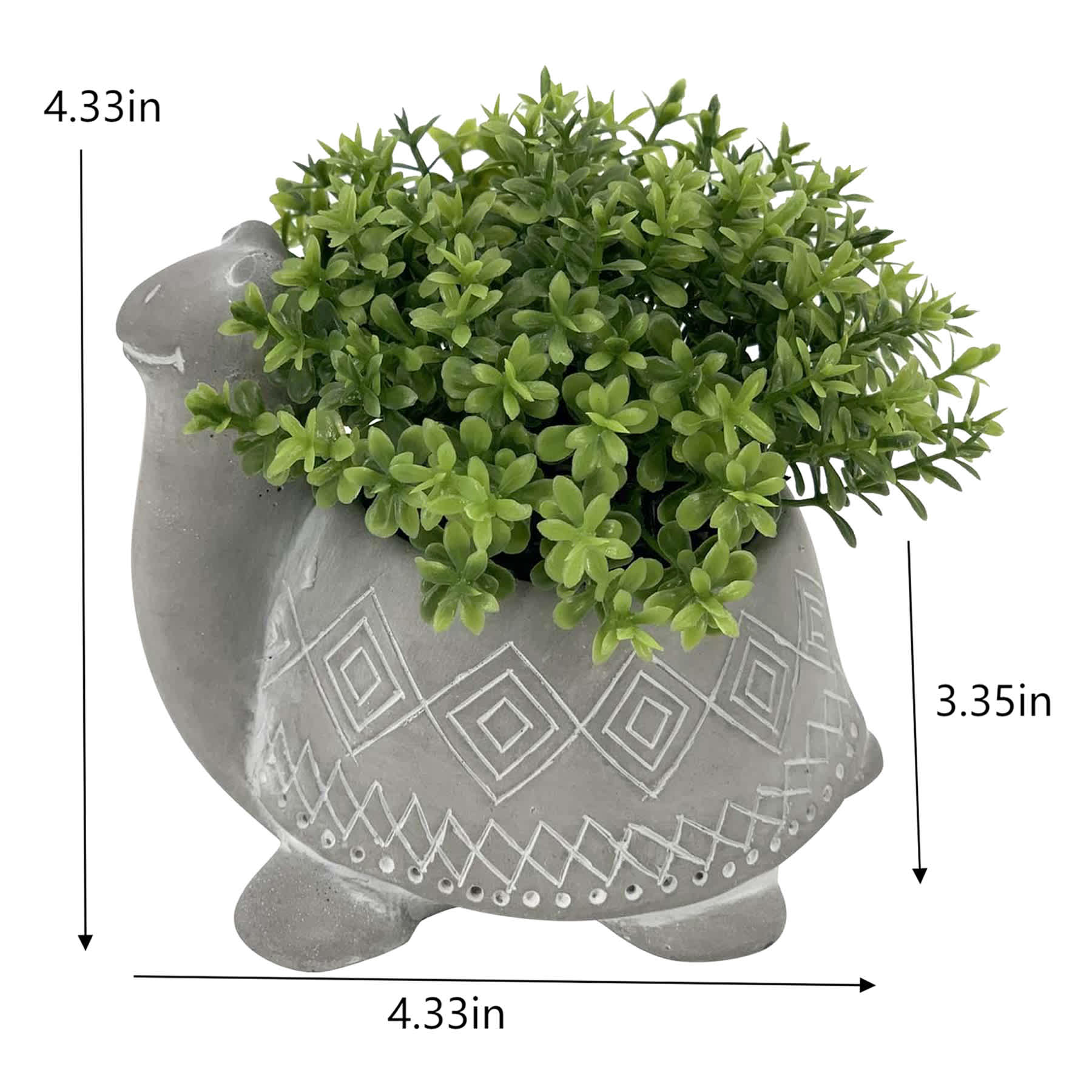 Greenery in Snail Pot, 4"