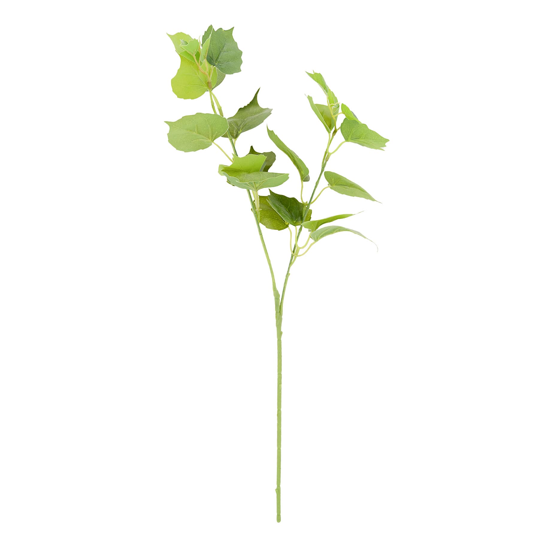 Tomentosum Geranium Stem, 23"