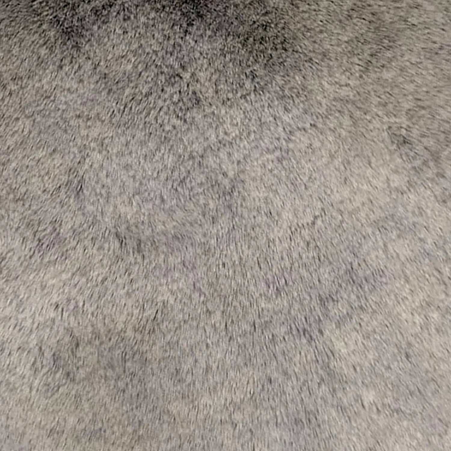 Grey Luxury Chinchilla Faux Fur Euro Throw Pillow, 24"